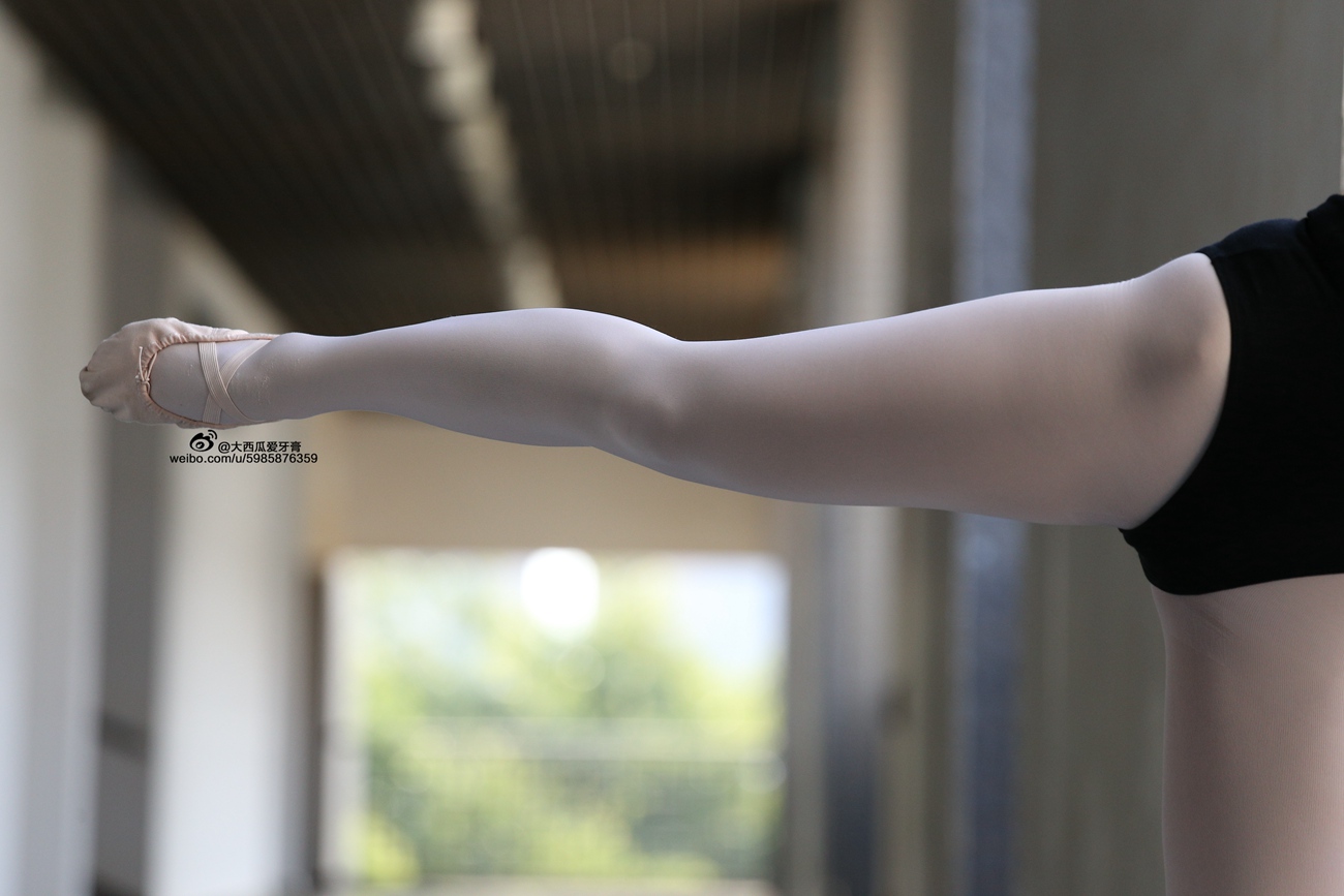 图片[176]-大西瓜爱牙膏-早期作品-W007 舞蹈家1-文君2 [377] – 速更版-美库