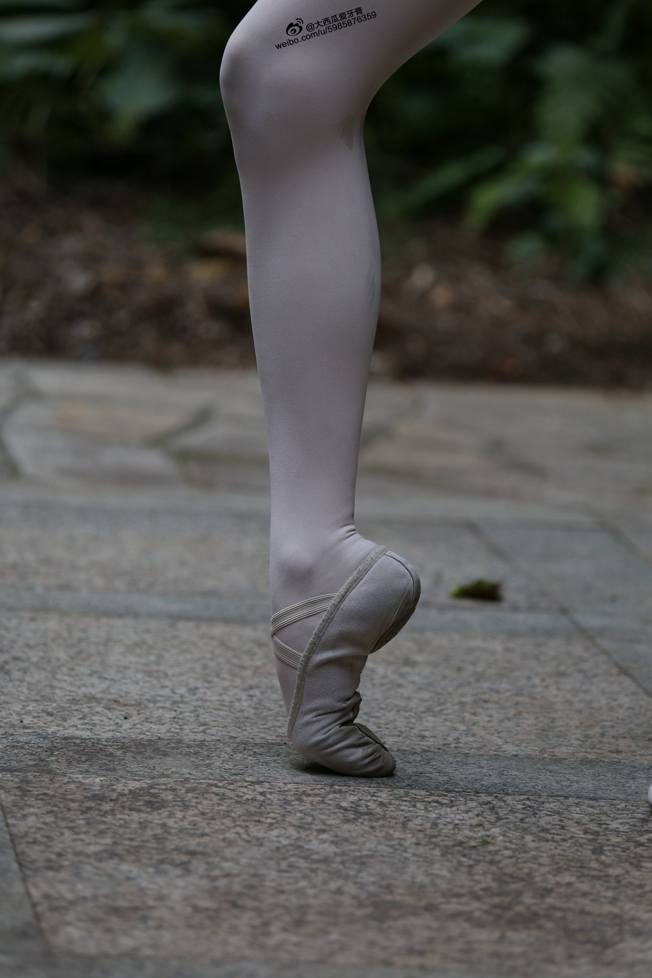 图片[134]-大西瓜爱牙膏-早期作品-W011 舞蹈家2-身材极好3 [271P] – 速更版-美库