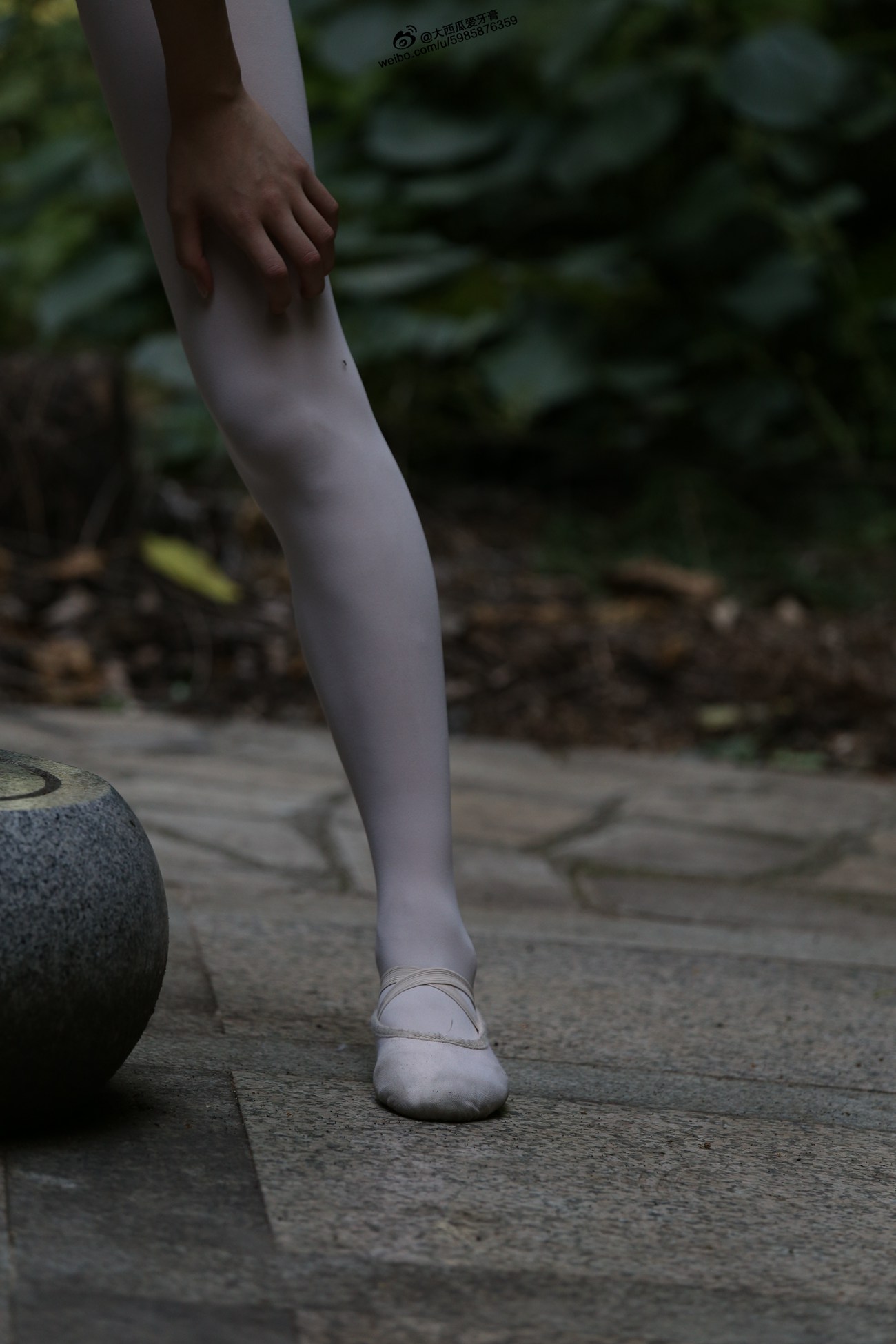 图片[188]-大西瓜爱牙膏-早期作品-W011 舞蹈家2-身材极好3 [271P] – 速更版-美库