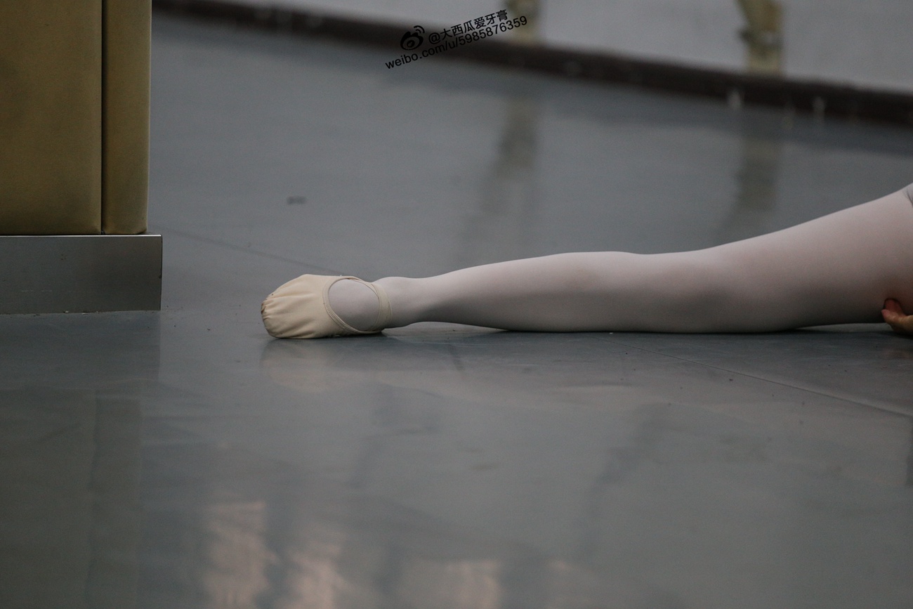 图片[154]-大西瓜爱牙膏-早期作品-W012 舞蹈家3-紫色 [247P] – 速更版-美库