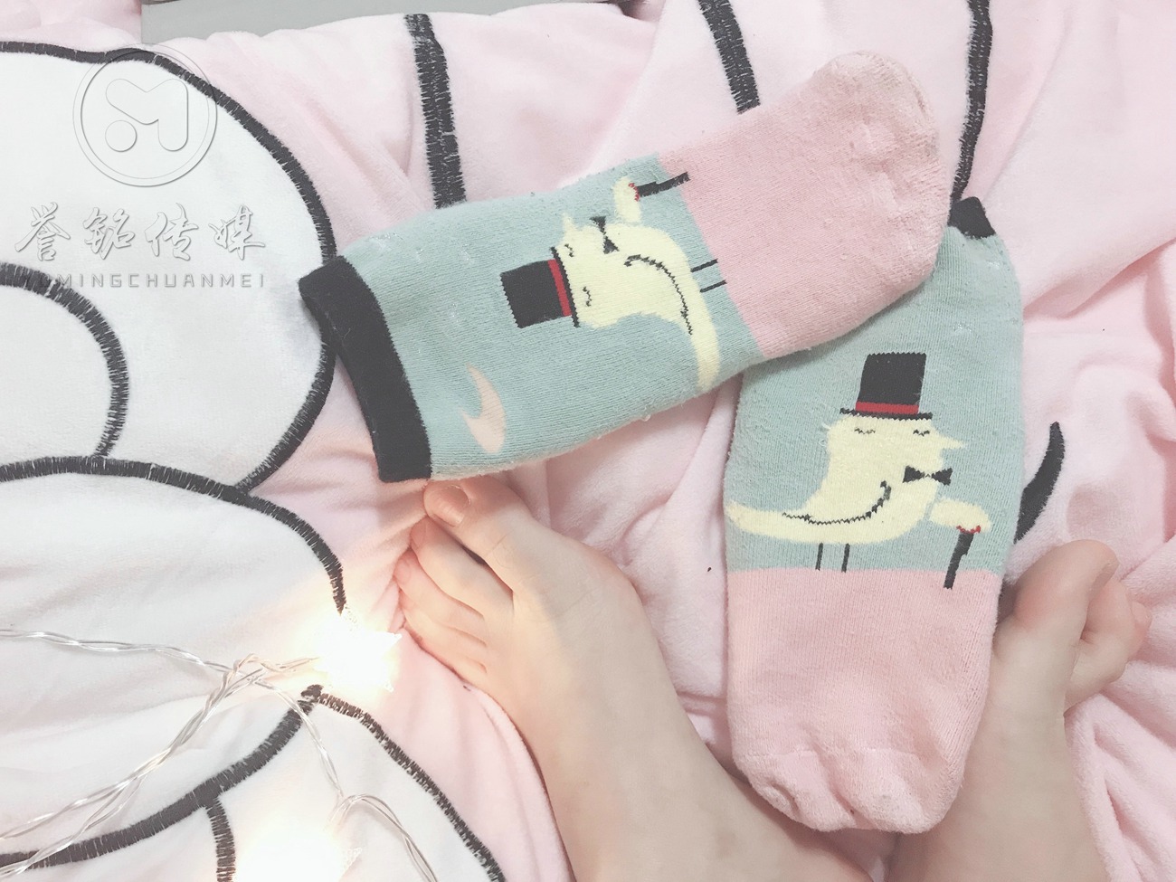 图片[17]-誉铭摄影 2019《2019-第04期作品》[141P] – 速更版-美库