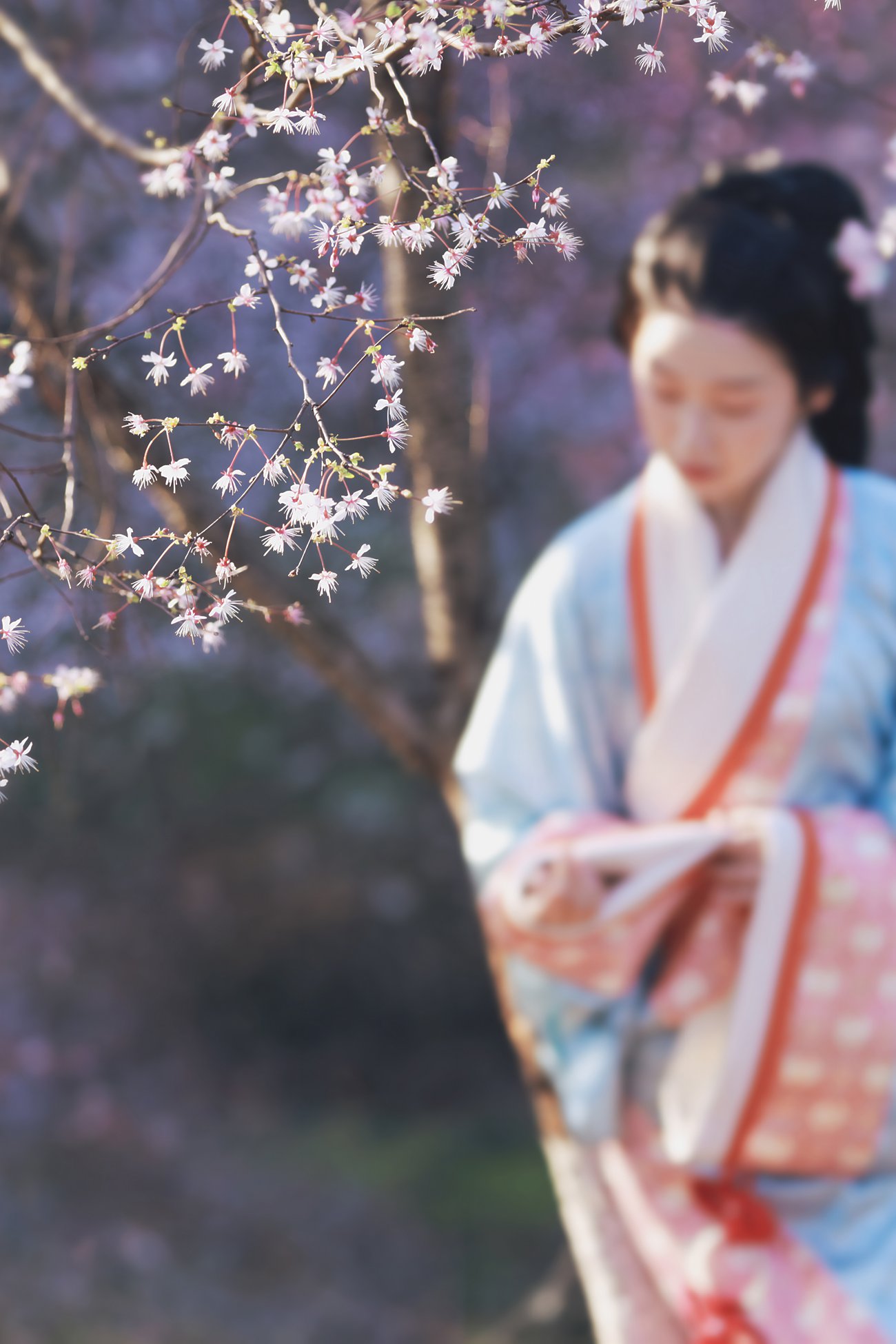 图片[15]-[YITUYU艺图语] 2021.03.04 樱落 [30P] – 速更版-美库