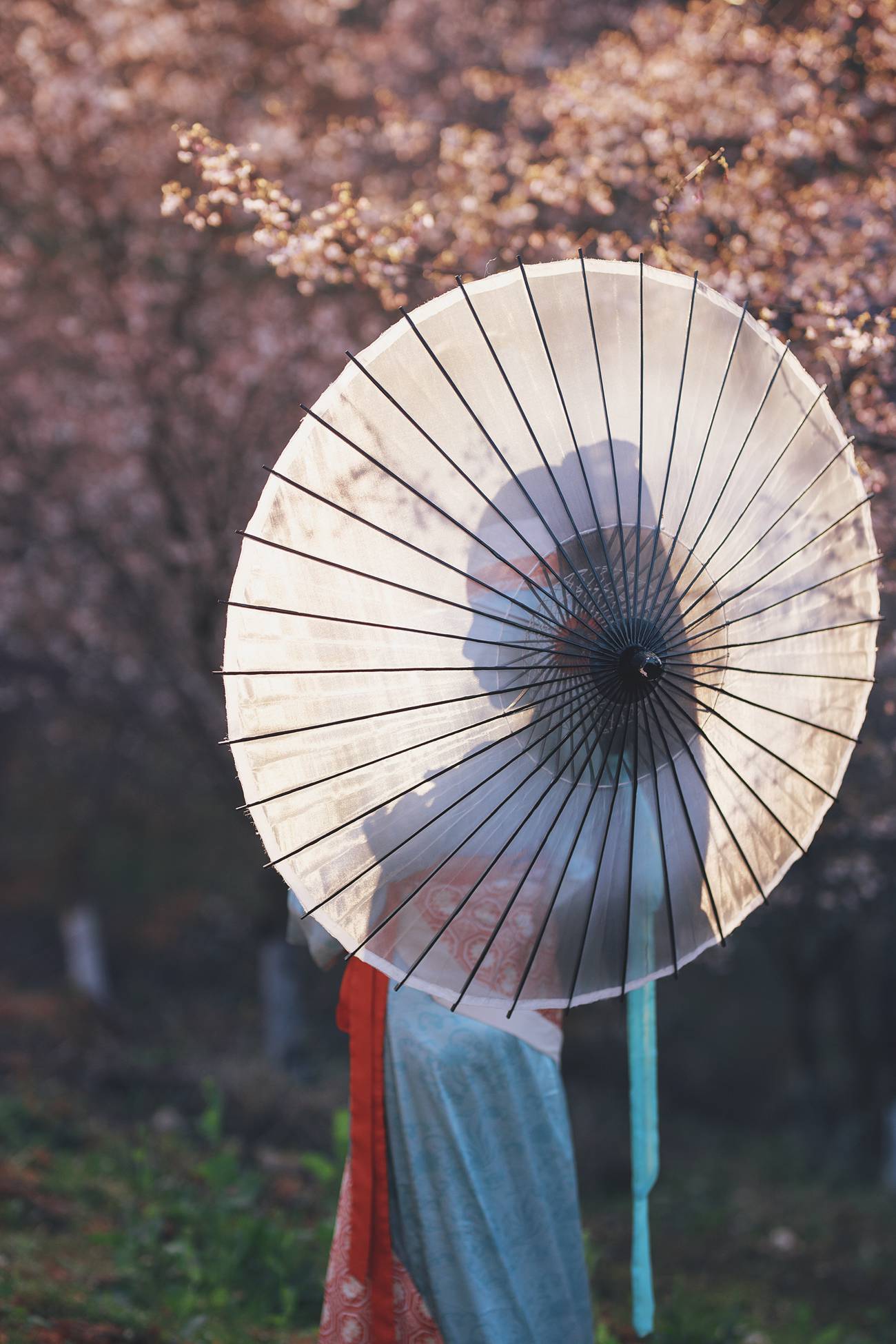 图片[29]-[YITUYU艺图语] 2021.03.04 樱落 [30P] – 速更版-美库