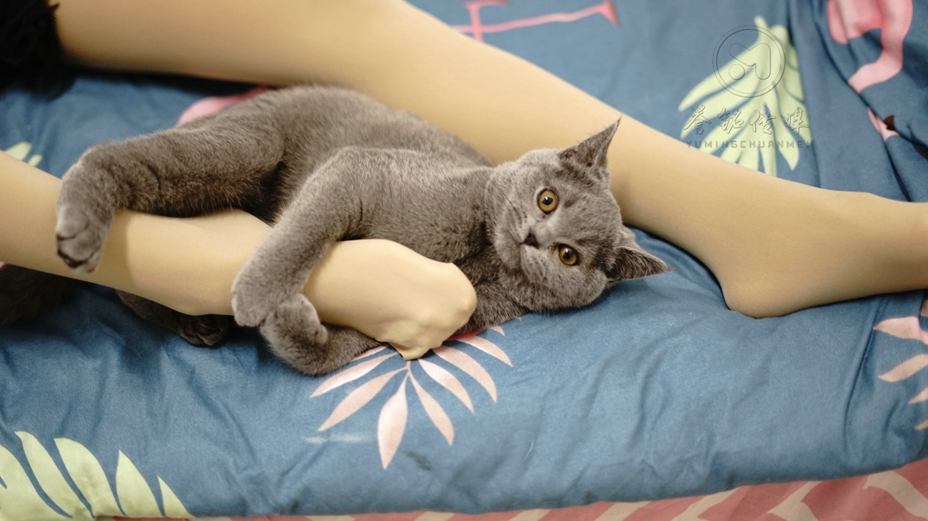 图片[76]-誉铭摄影 2019《2019-05期积分作品》[98P] – 速更版-美库