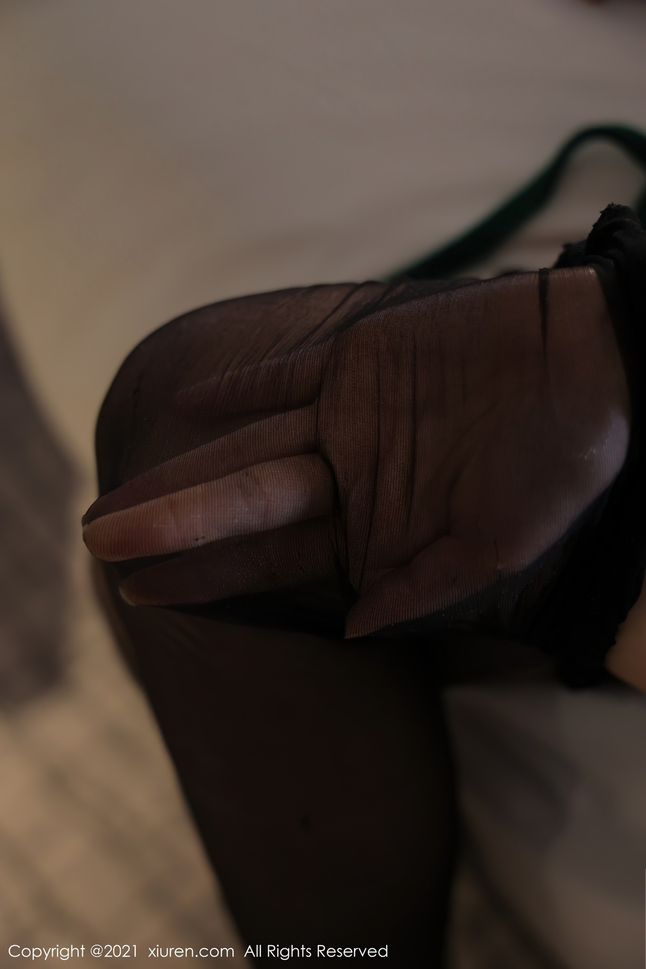 图片[84]-[XIUREN秀人网]2021.12.20 No.4358 月音瞳[90+1P] – 速更版-美库