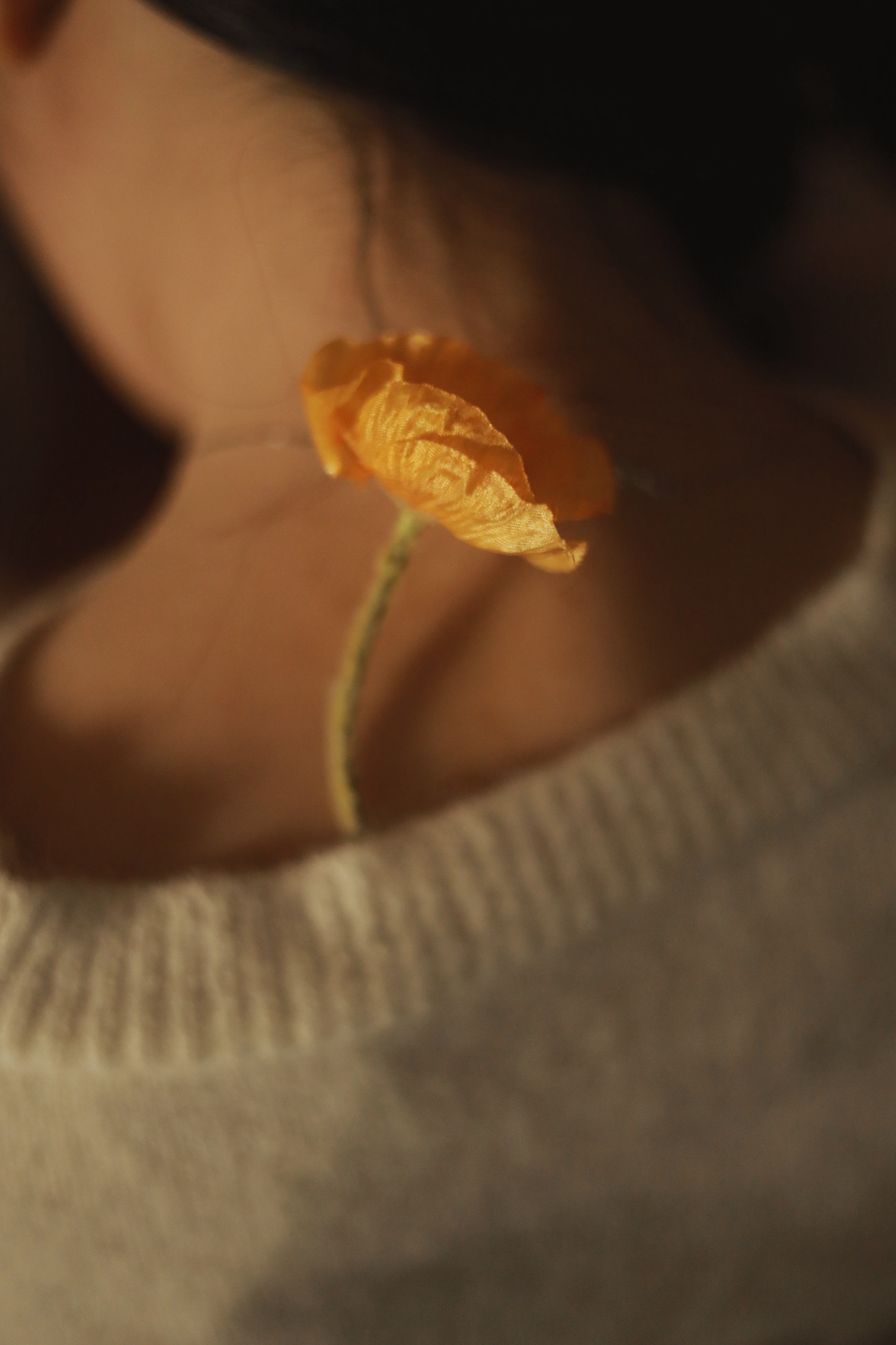 图片[20]-[YITUYU艺图语] 2021.05.12 旧识 幼安 [32P] – 速更版-美库