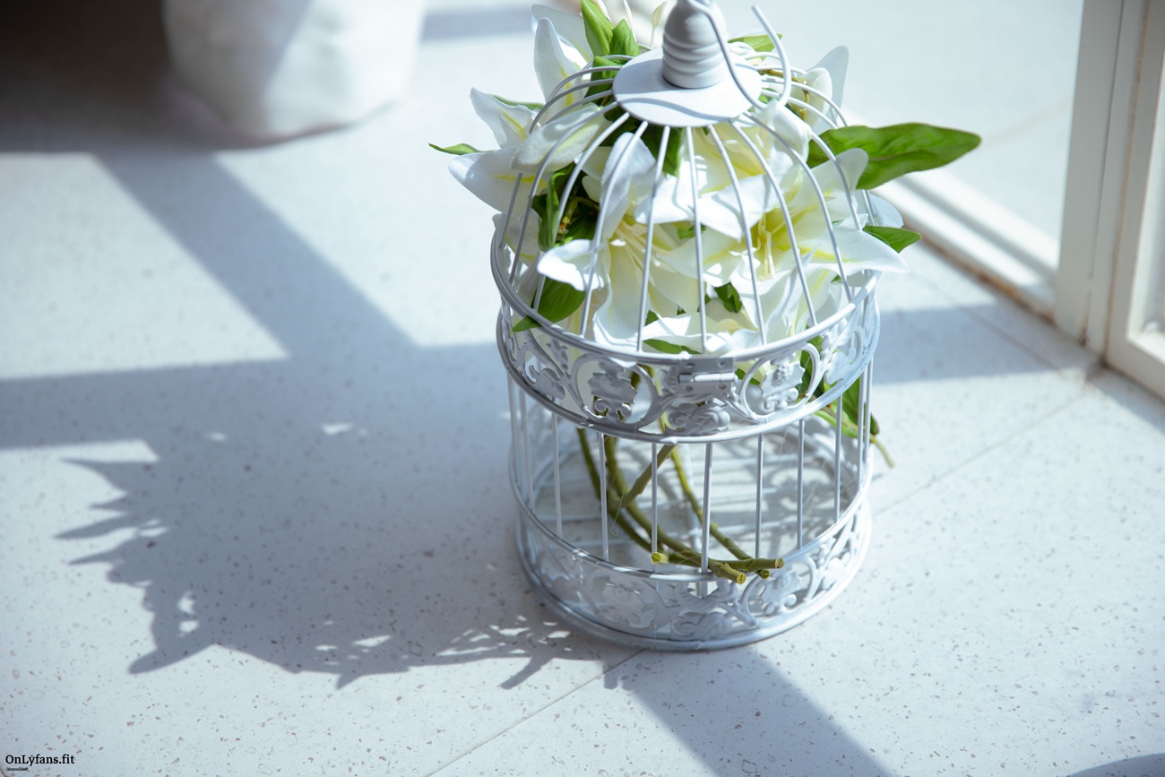 图片[11]-G44不会受伤 – 万华镜姐弟花[31P] – 速更版-美库