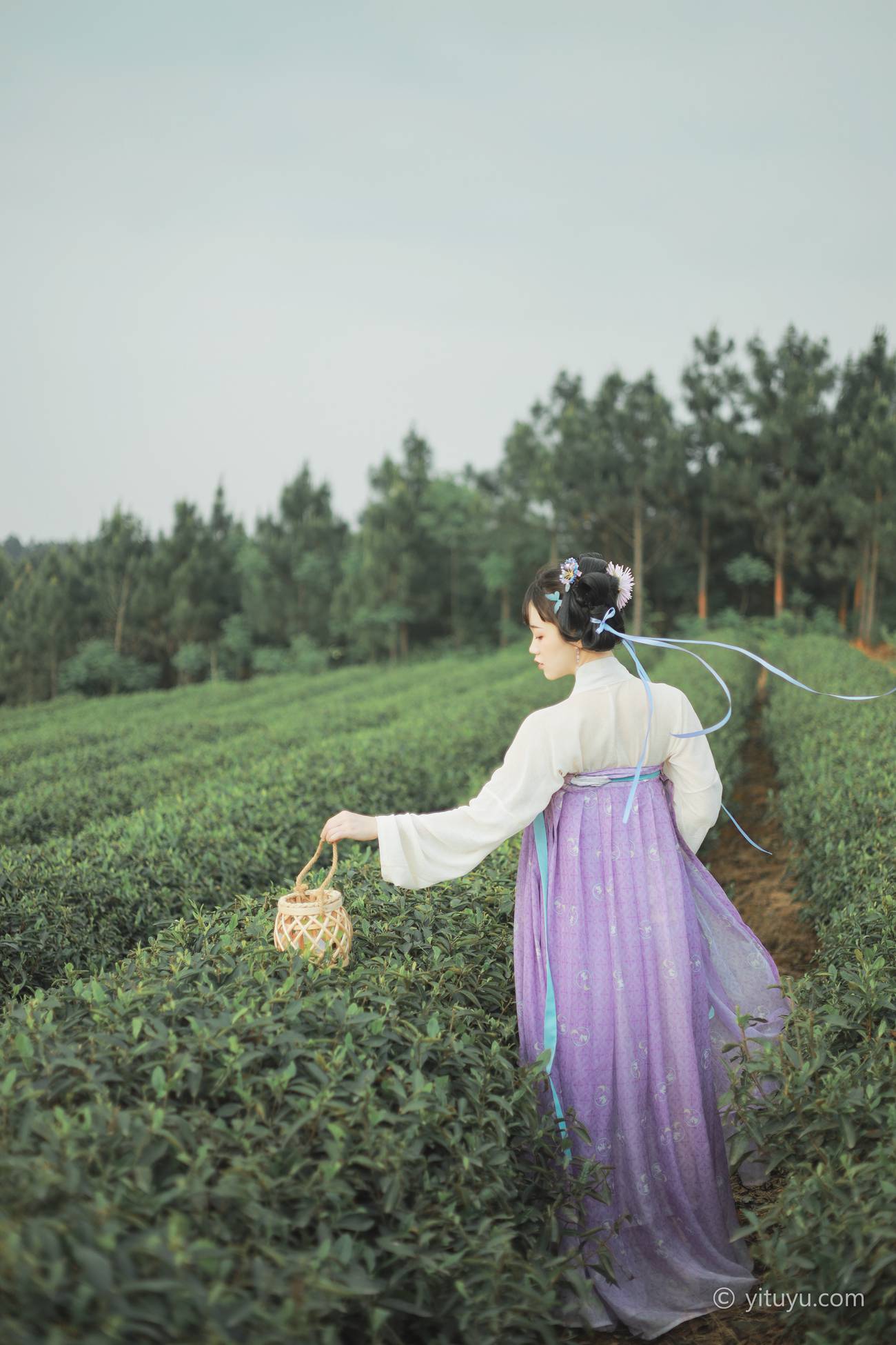 图片[17]-[YITUYU艺图语] 2021.06.02 青青白茶 柚子 [33P] – 速更版-美库