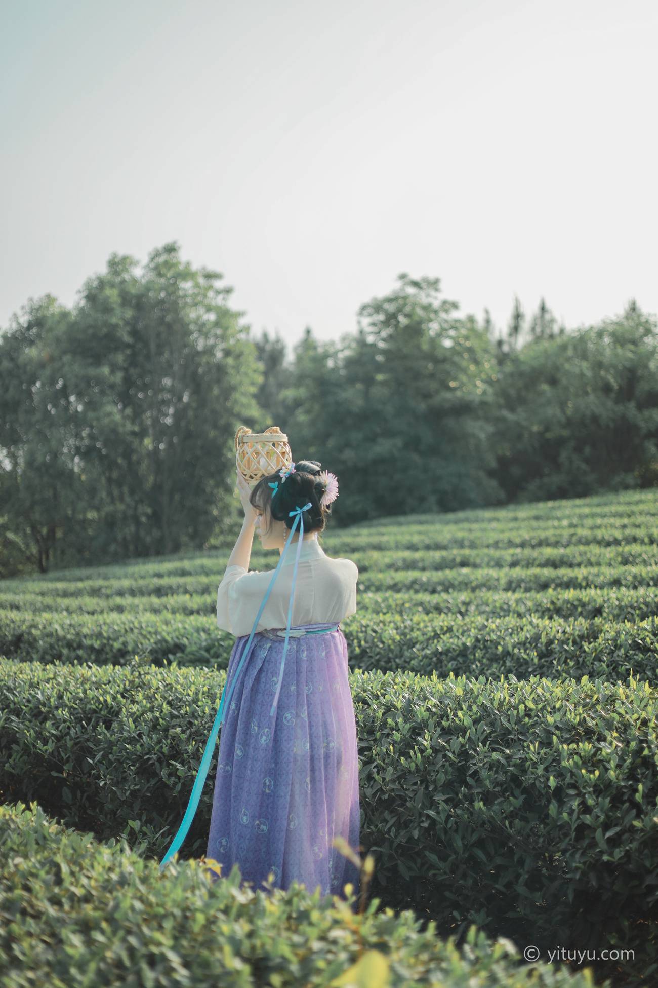 图片[25]-[YITUYU艺图语] 2021.06.02 青青白茶 柚子 [33P] – 速更版-美库