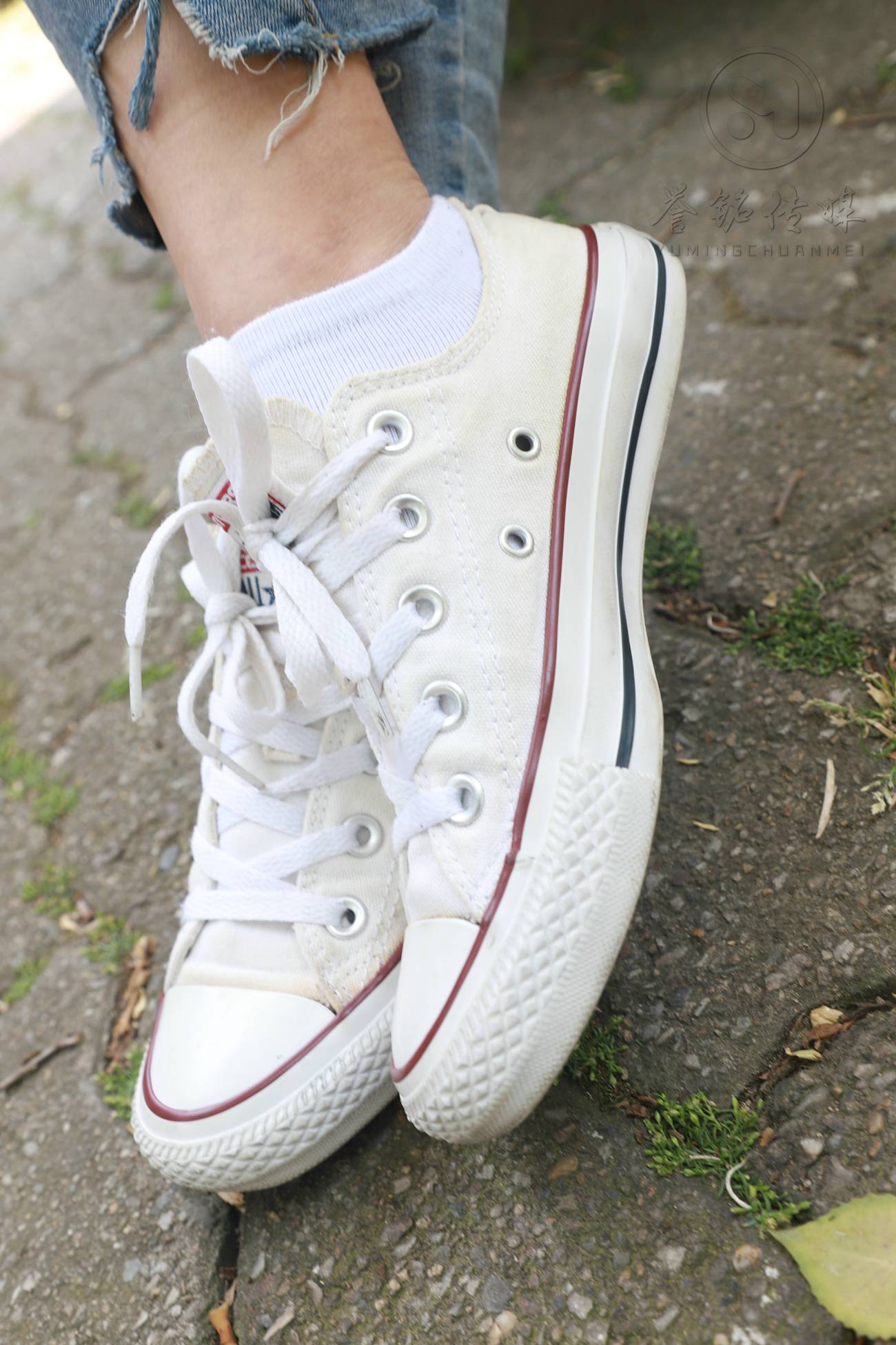 图片[154]-036-誉铭摄影 2019《2019-第36期作品》[153P] – 速更版-美库