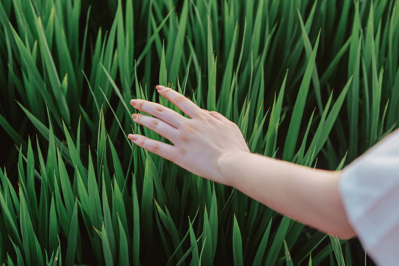 图片[27]-[YITUYU艺图语] 2021.06.28 小森林.秋夏 小花花花花圈 [28P] – 速更版-美库