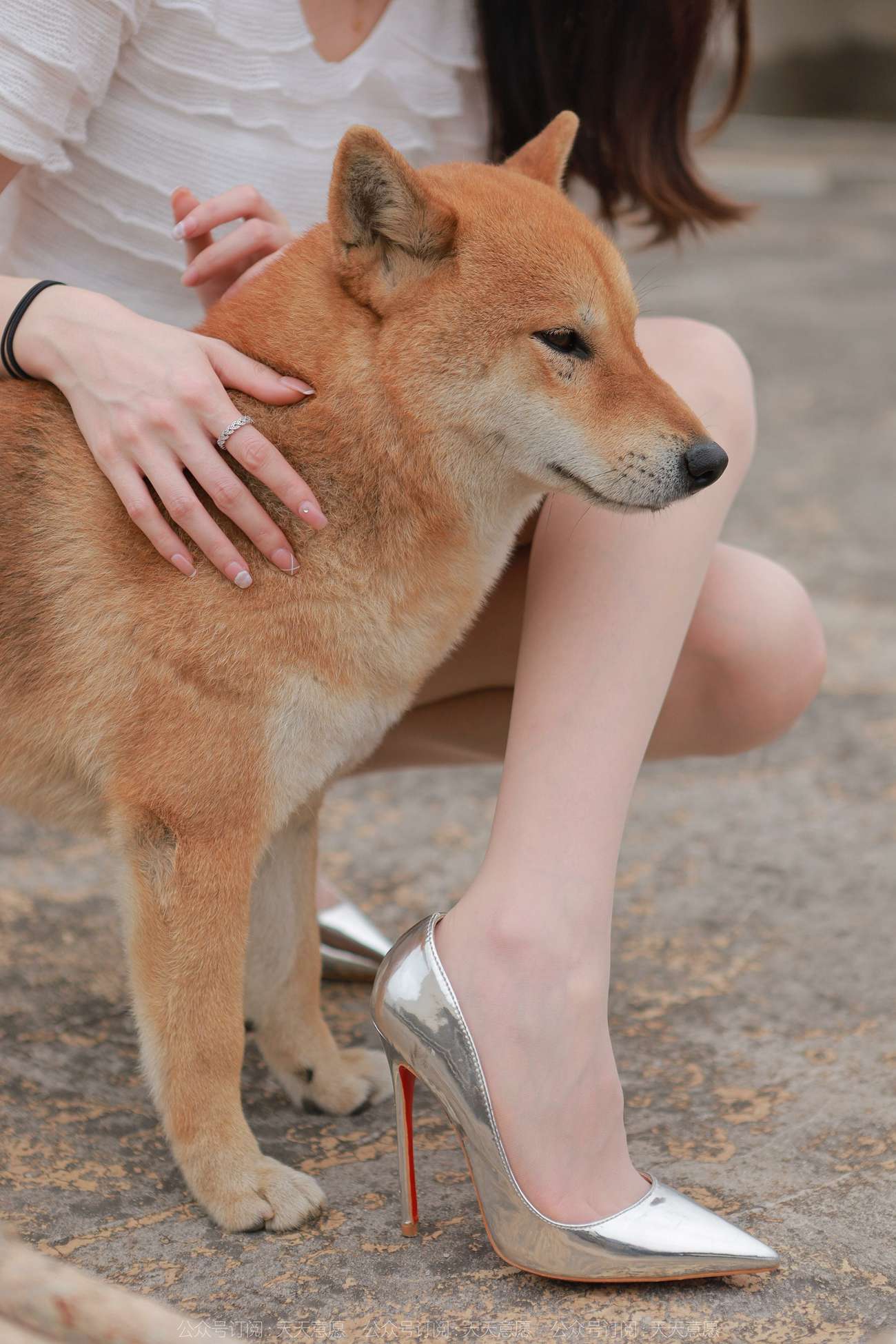 图片[26]-[IESS异思趣向] 耽丝 211206 女神佳爷特辑 [93P] – 速更版-美库