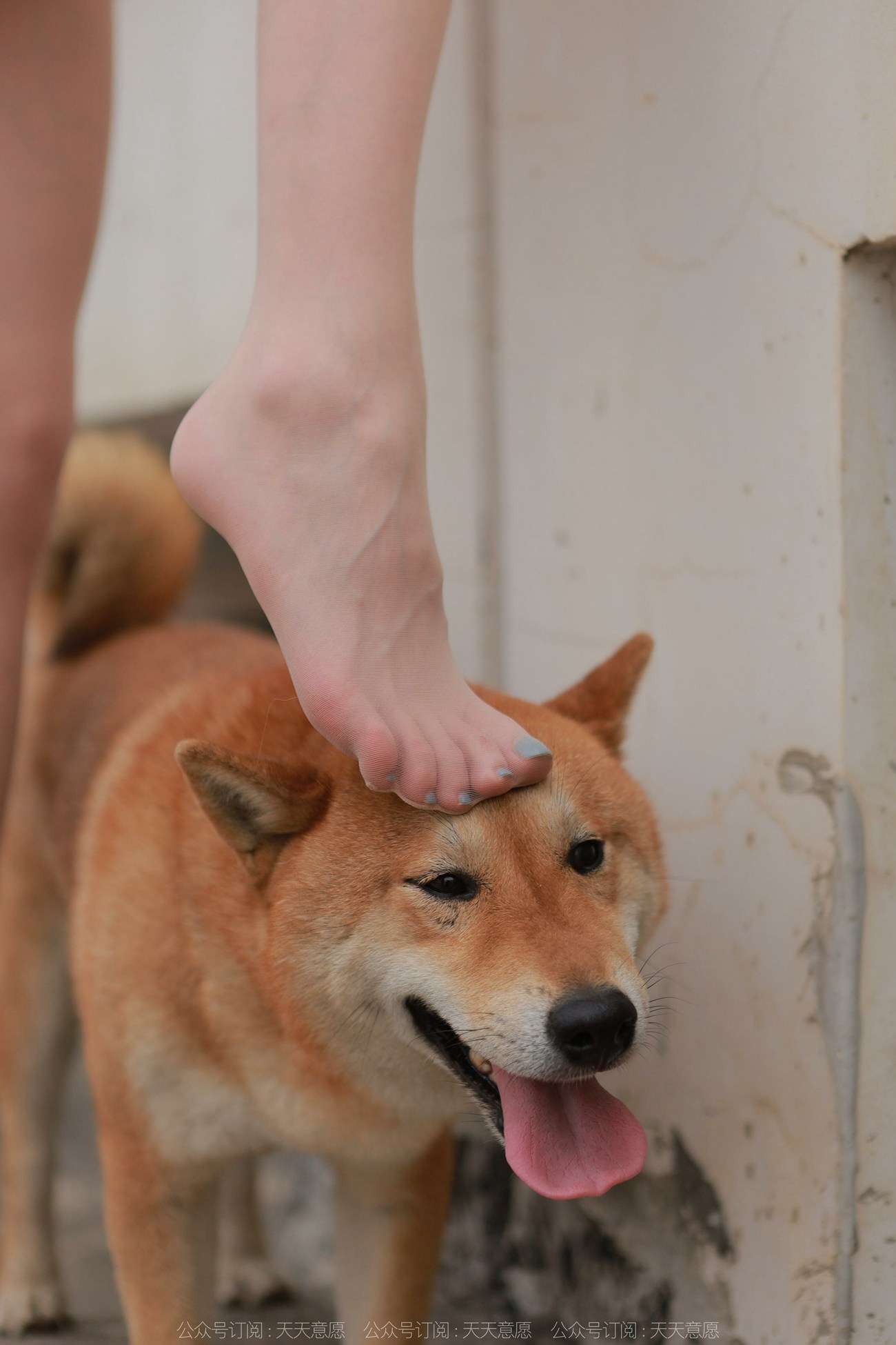 图片[86]-[IESS异思趣向] 耽丝 211206 女神佳爷特辑 [93P] – 速更版-美库