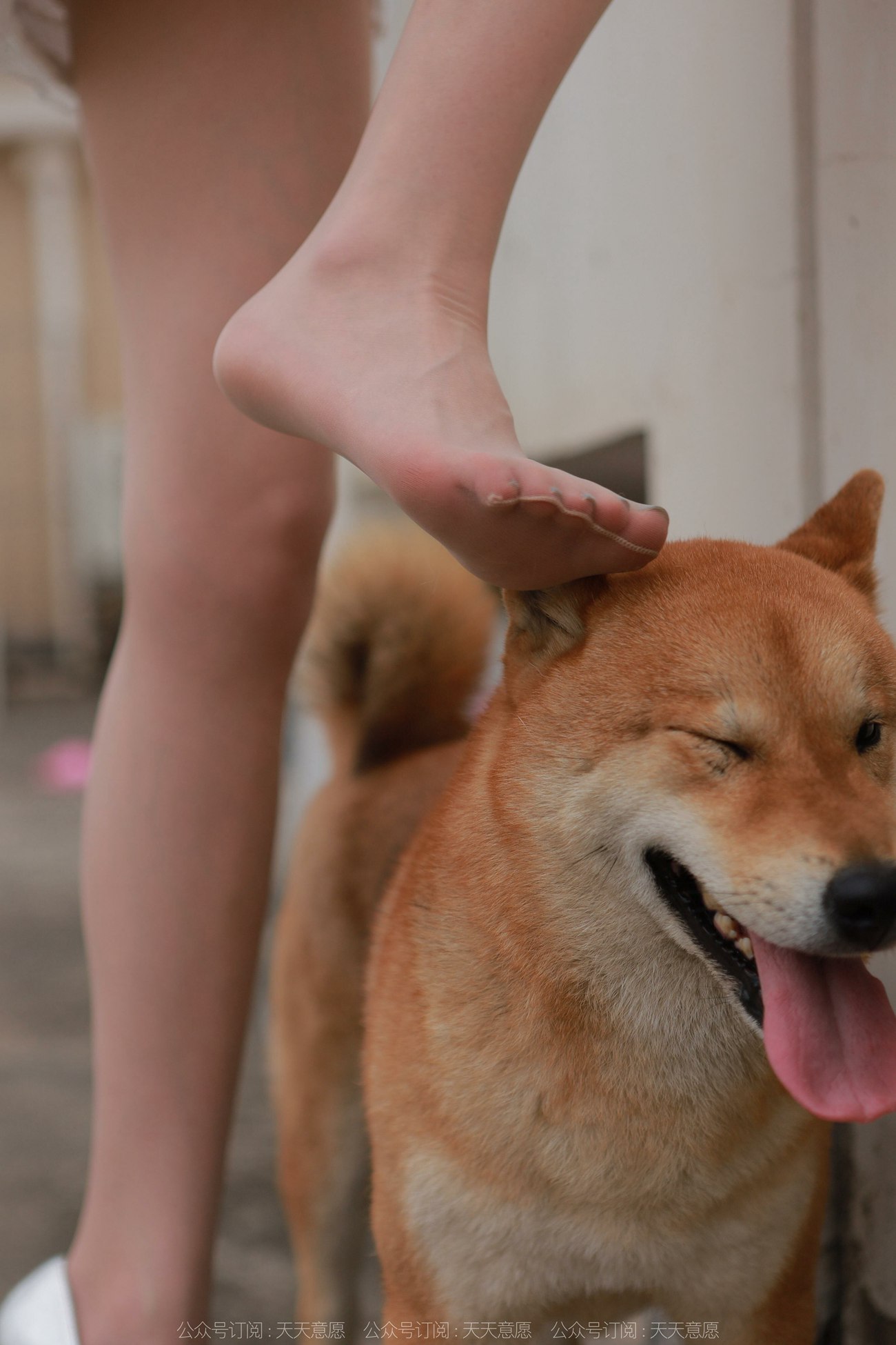 图片[89]-[IESS异思趣向] 耽丝 211206 女神佳爷特辑 [93P] – 速更版-美库