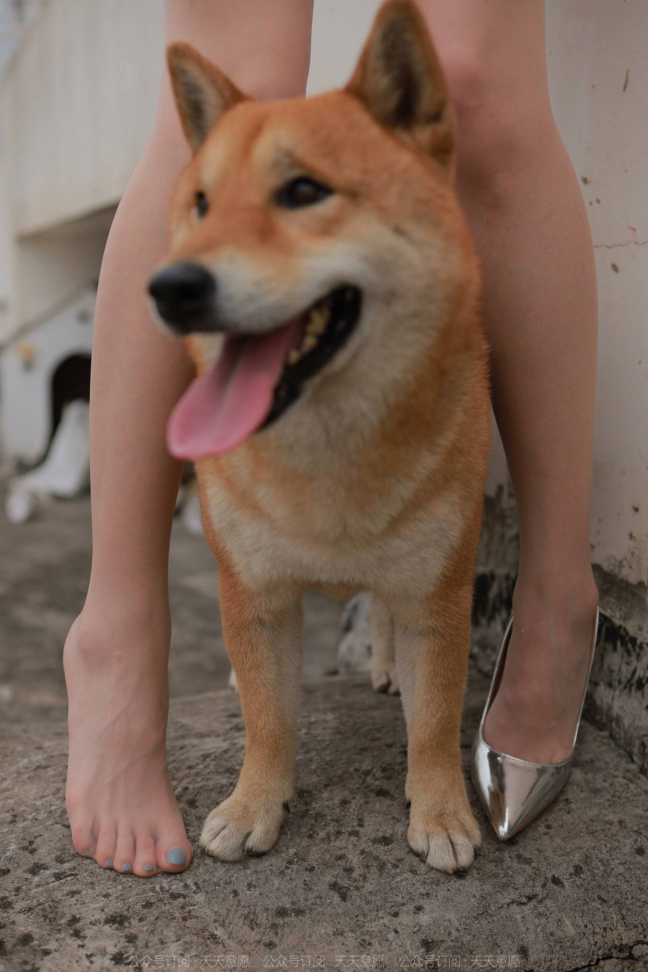 图片[90]-[IESS异思趣向] 耽丝 211206 女神佳爷特辑 [93P] – 速更版-美库