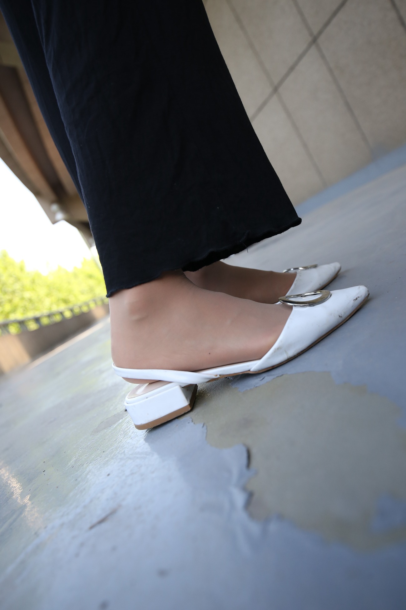 图片[107]-大西瓜爱牙膏-早期作品-Z3-2 裤妹短丝 [221P] – 速更版-美库