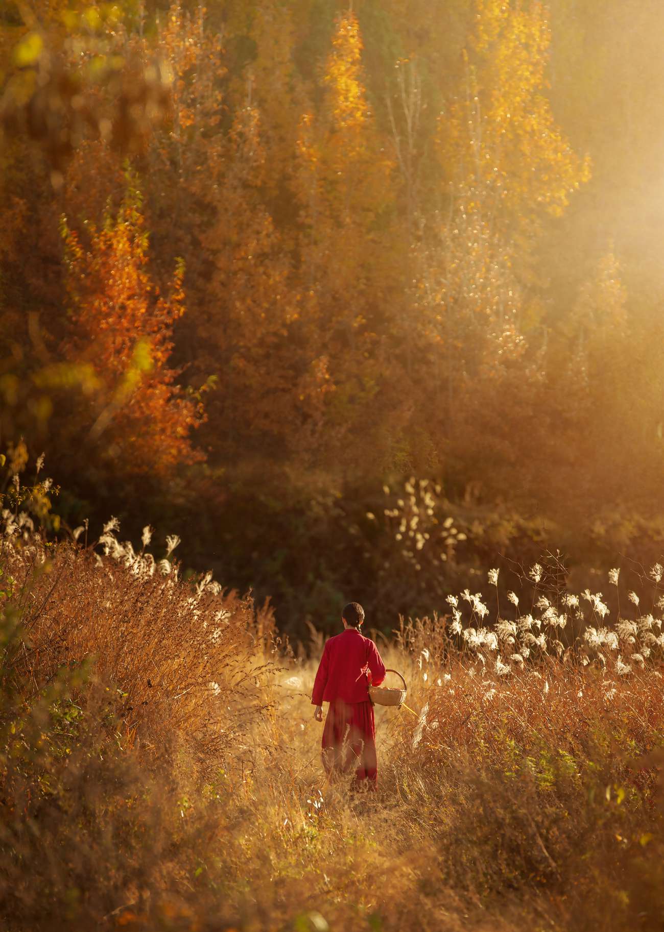 图片[35]-[YITUYU艺图语] 2021.08.12 桐家沟的妹子 刘梦茹 [40P] – 速更版-美库