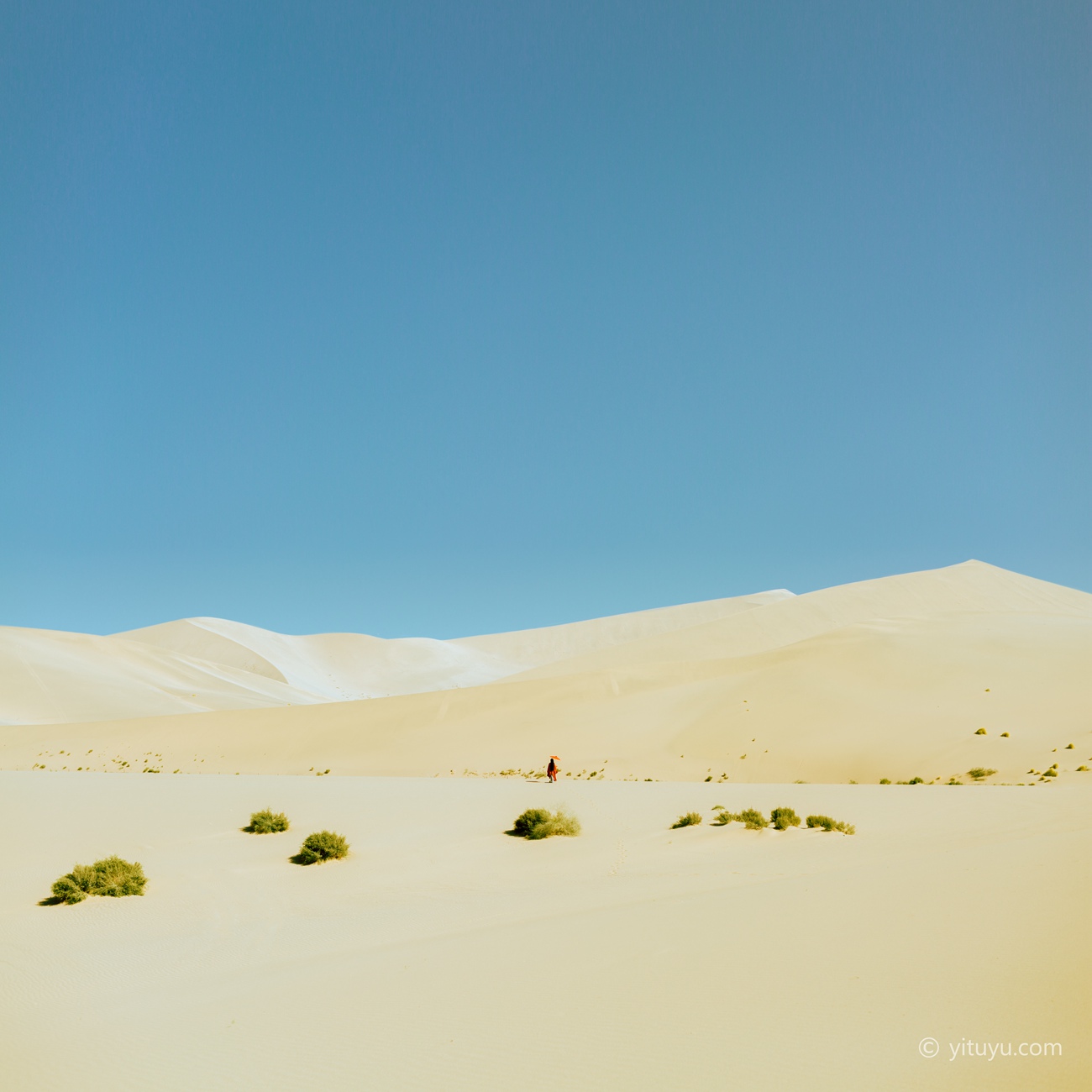 图片[10]-[YITUYU艺图语] 2021.06.30 木兰花 静静 [38P] – 速更版-美库