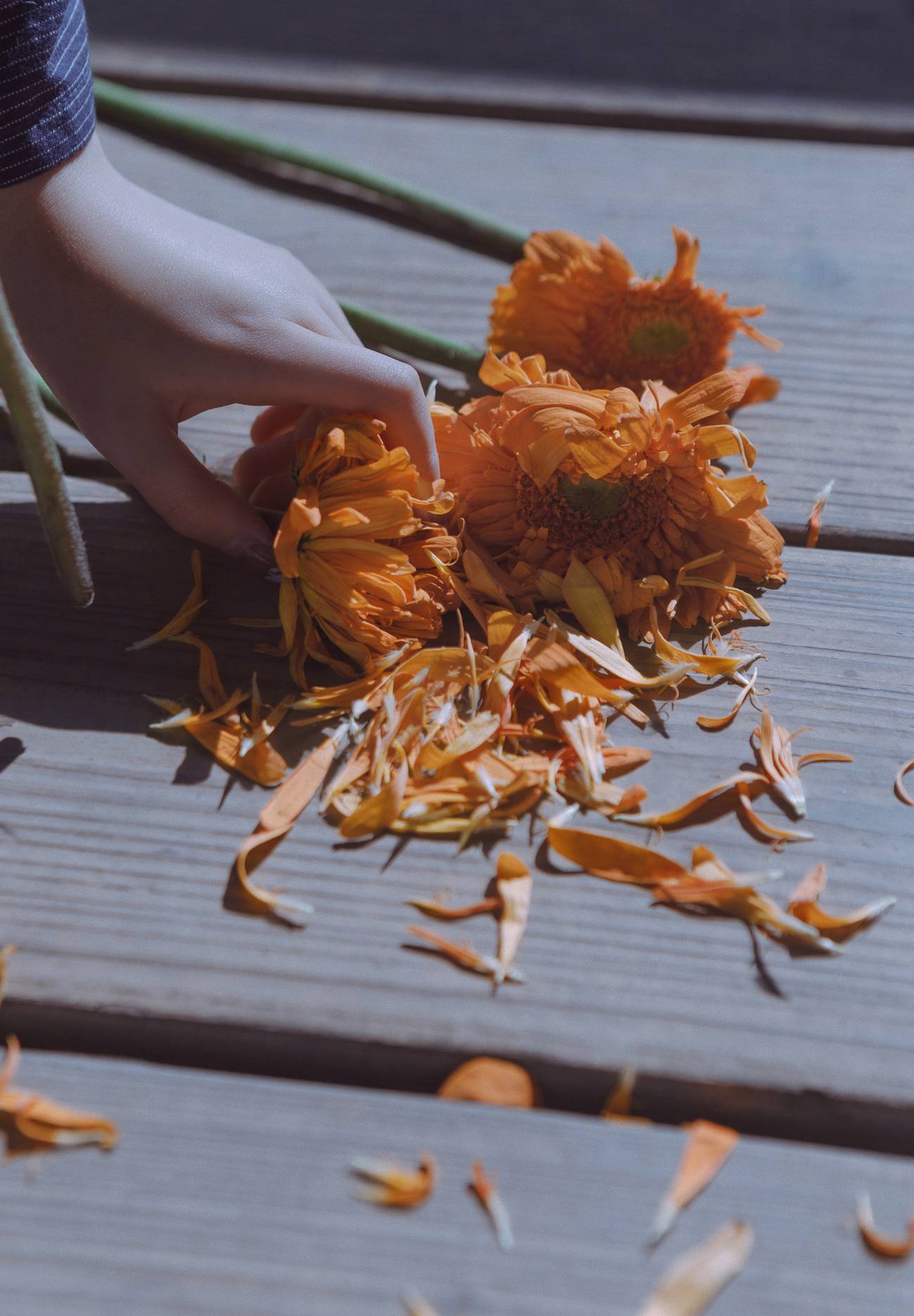 图片[16]-[YITUYU艺图语] 2021.08.13 山房岑寂 AZ [33P] – 速更版-美库