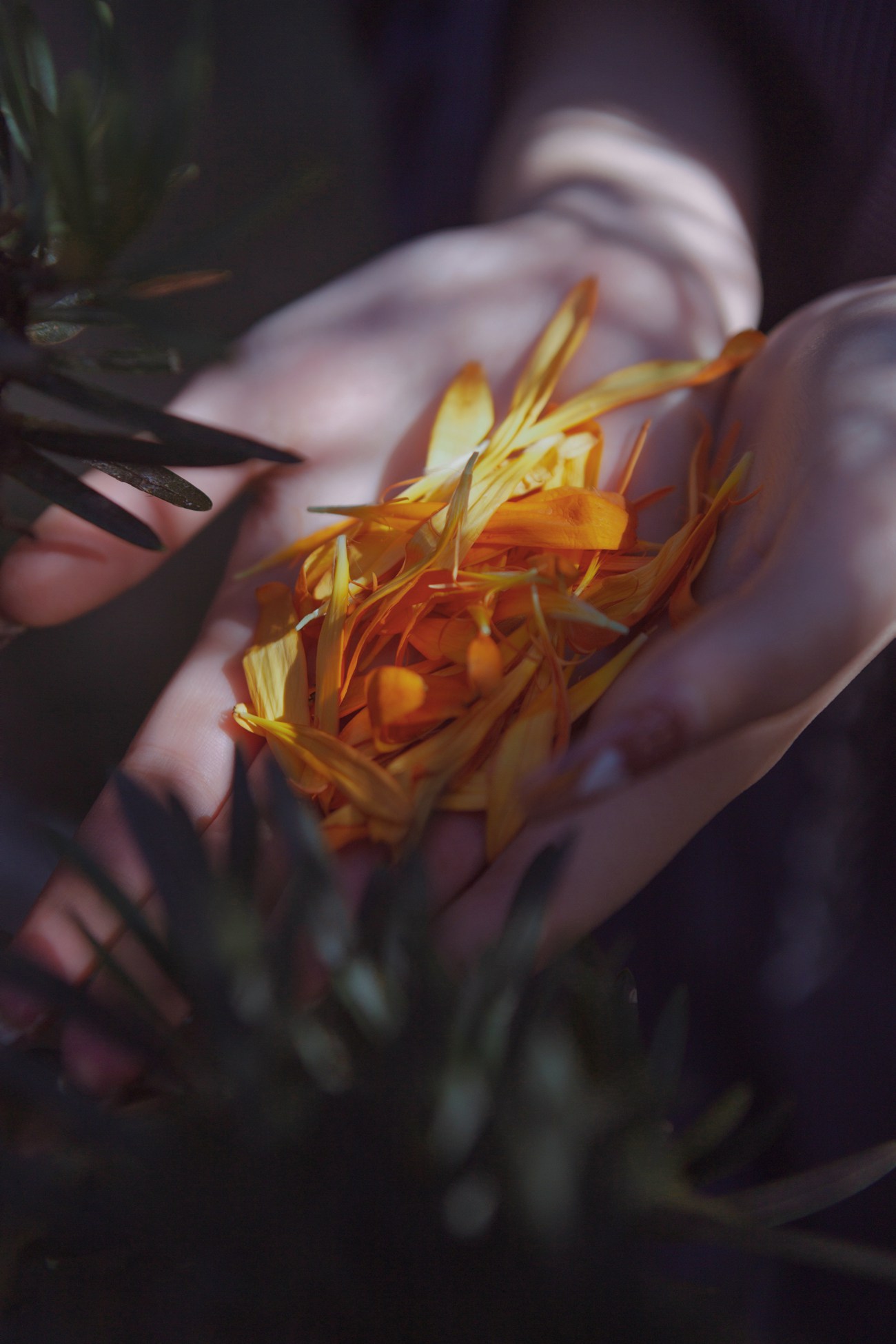 图片[21]-[YITUYU艺图语] 2021.08.13 山房岑寂 AZ [33P] – 速更版-美库