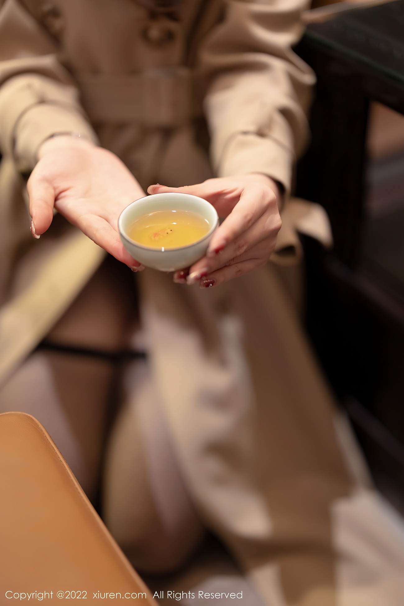 图片[12]-[Xiuren秀人网]2022.01.30 NO.4543 芝芝Booty[70+1P] – 速更版-美库