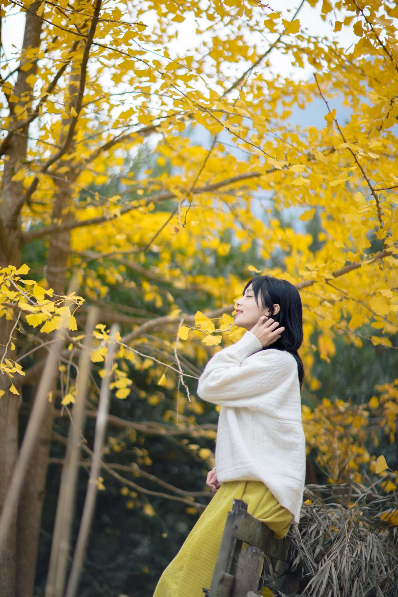 图片[28]-[YITUYU艺图语] 2021.08.14 银杏之恋 雨文 [39P] – 速更版-美库