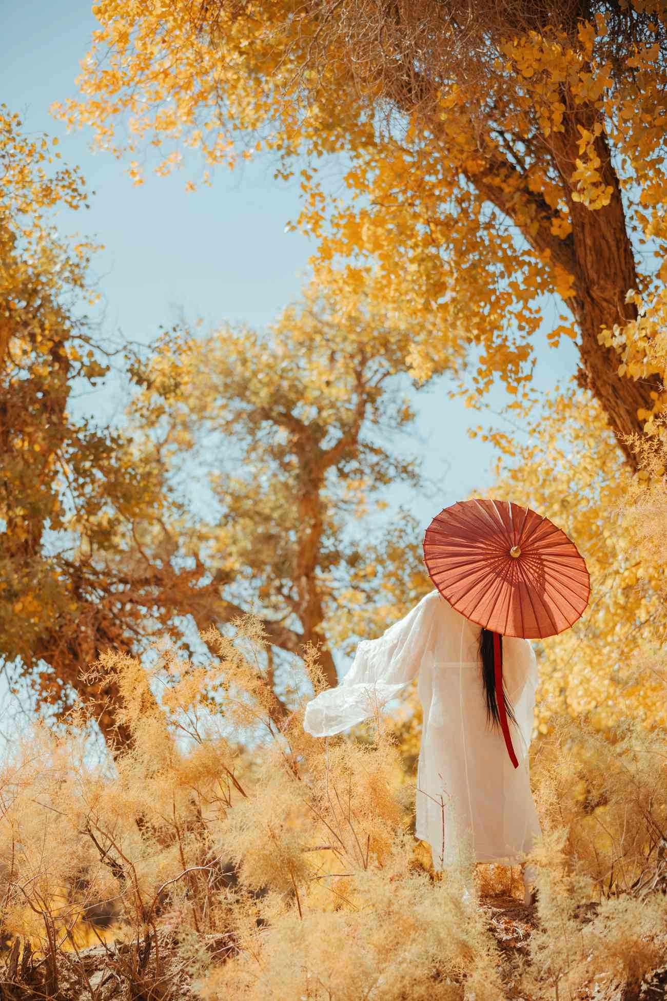 图片[19]-[YITUYU艺图语] 2021.08.16 蒹葭 薄荷 [26P] – 速更版-美库