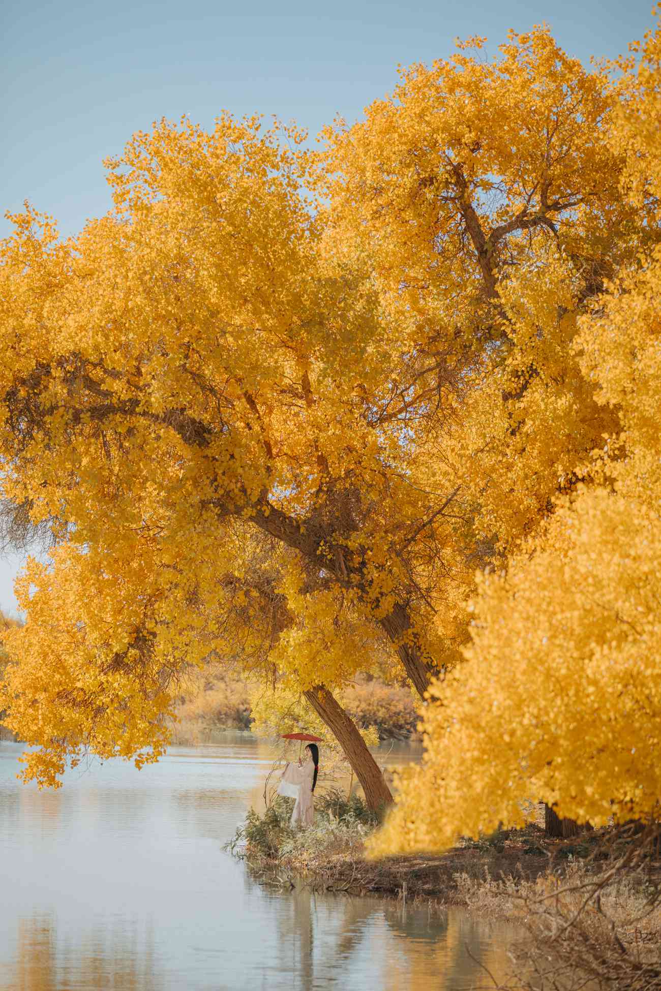 图片[22]-[YITUYU艺图语] 2021.08.16 蒹葭 薄荷 [26P] – 速更版-美库