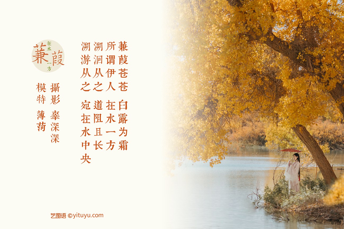 图片[24]-[YITUYU艺图语] 2021.08.16 蒹葭 薄荷 [26P] – 速更版-美库