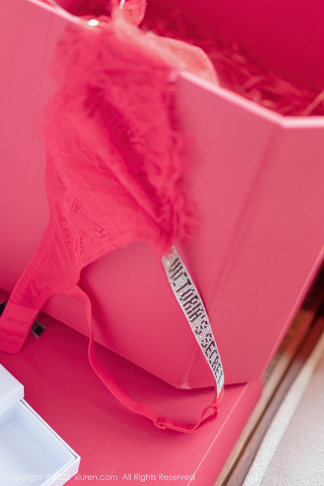 图片[52]-[Xiuren秀人网]2022.02.14 NO.4580 允爾[74+1P] – 速更版-美库