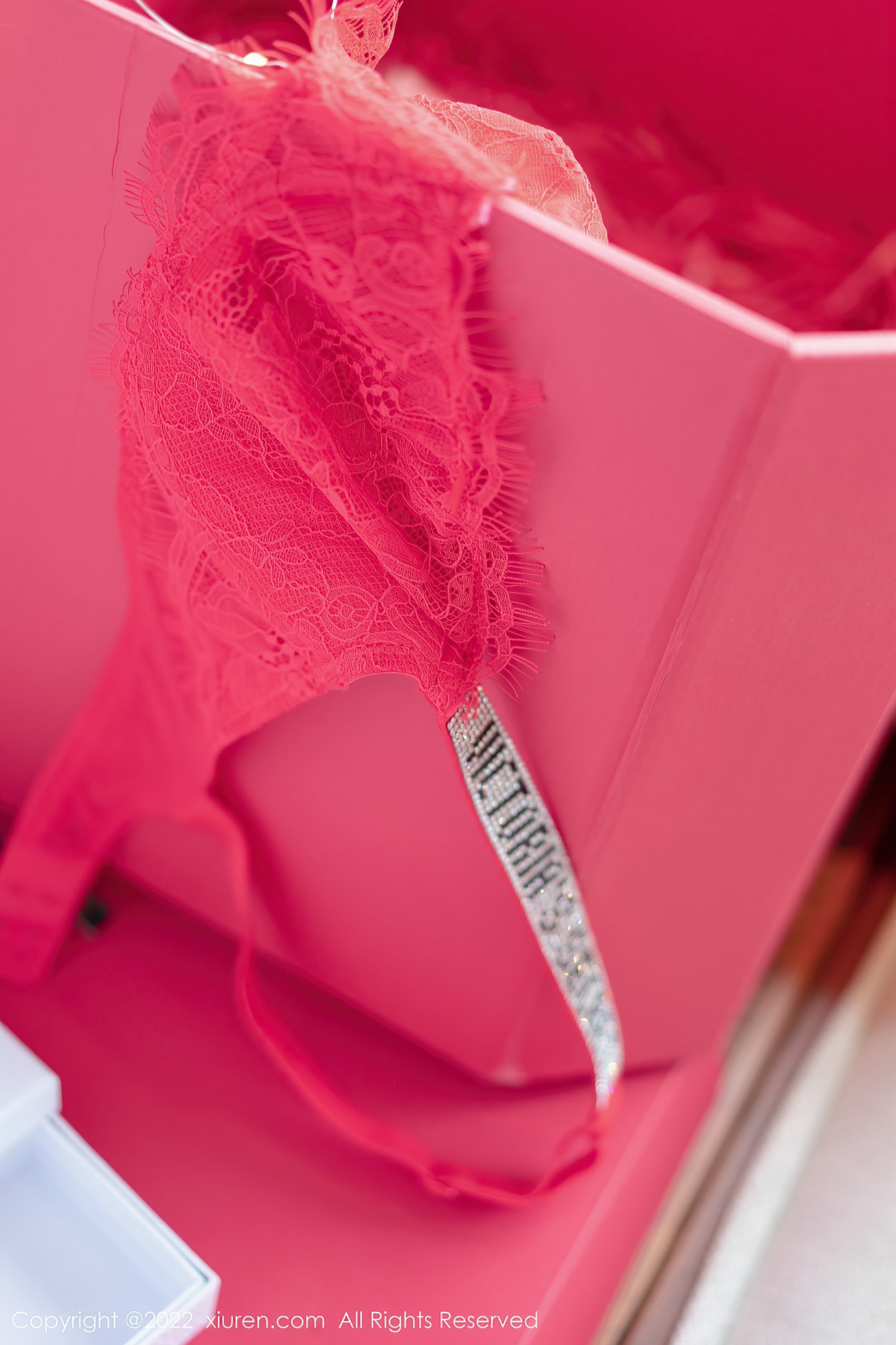 图片[53]-[Xiuren秀人网]2022.02.14 NO.4580 允爾[74+1P] – 速更版-美库