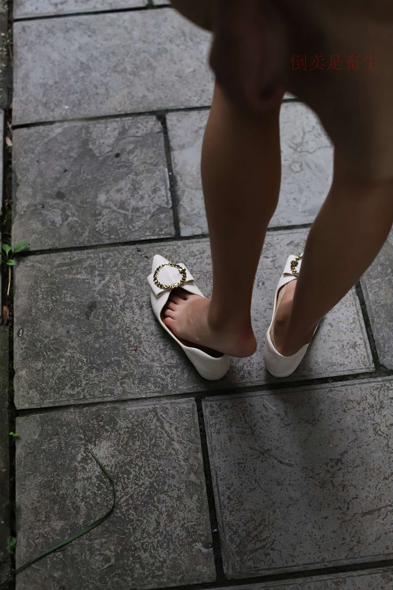 图片[125]-大西瓜爱牙膏-早期作品-Z5-2 船袜 (1)[124P] – 速更版-美库