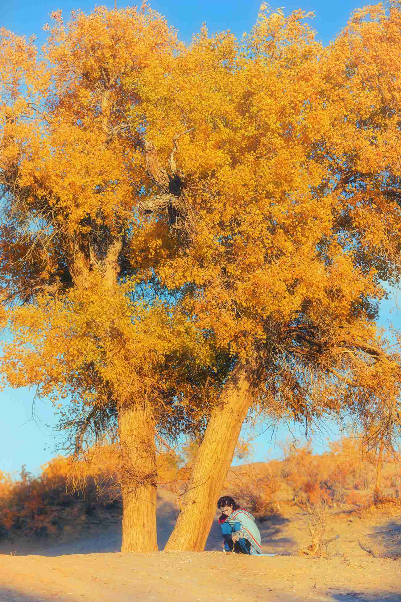 图片[22]-[YITUYU艺图语] 2021.08.20 东宫—蓝色小枫 赵瑞洁_ez [27P] – 速更版-美库