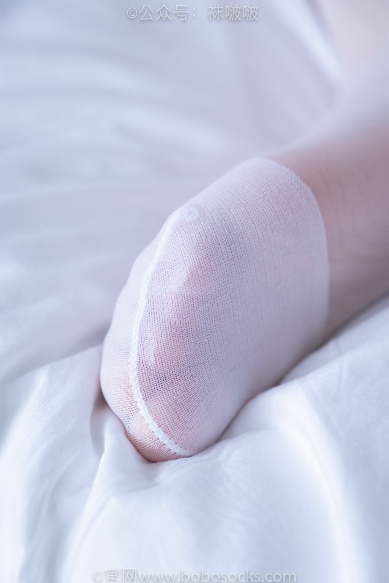 图片[84]-[BoBoSocks袜啵啵]NO.005 小甜豆-帆布鞋、薄白丝[133P] – 速更版-美库