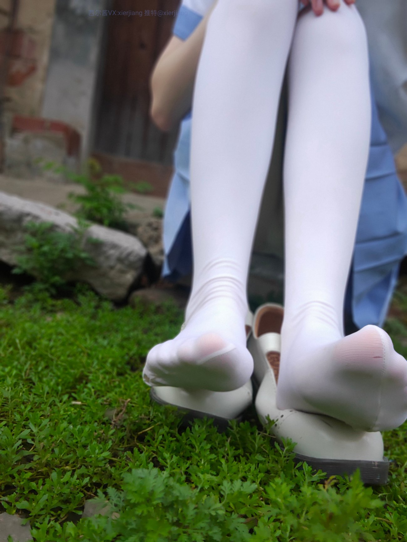 图片[27]-西尔酱 – 青草水手服7 [64P] – 速更版-美库