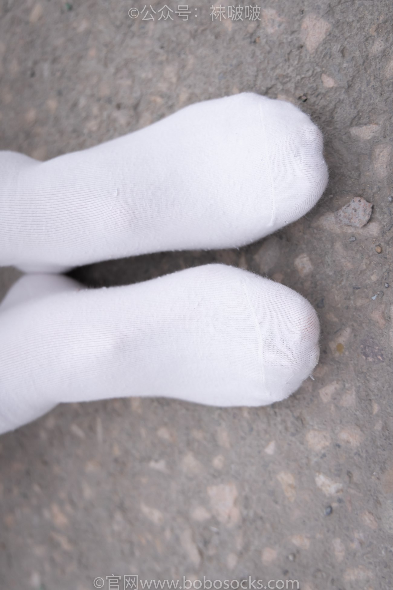图片[67]-[BoBoSocks袜啵啵]NO.016 熊熊-斯凯奇运动鞋、棉袜（踩脏）、裸足[147P] – 速更版-美库