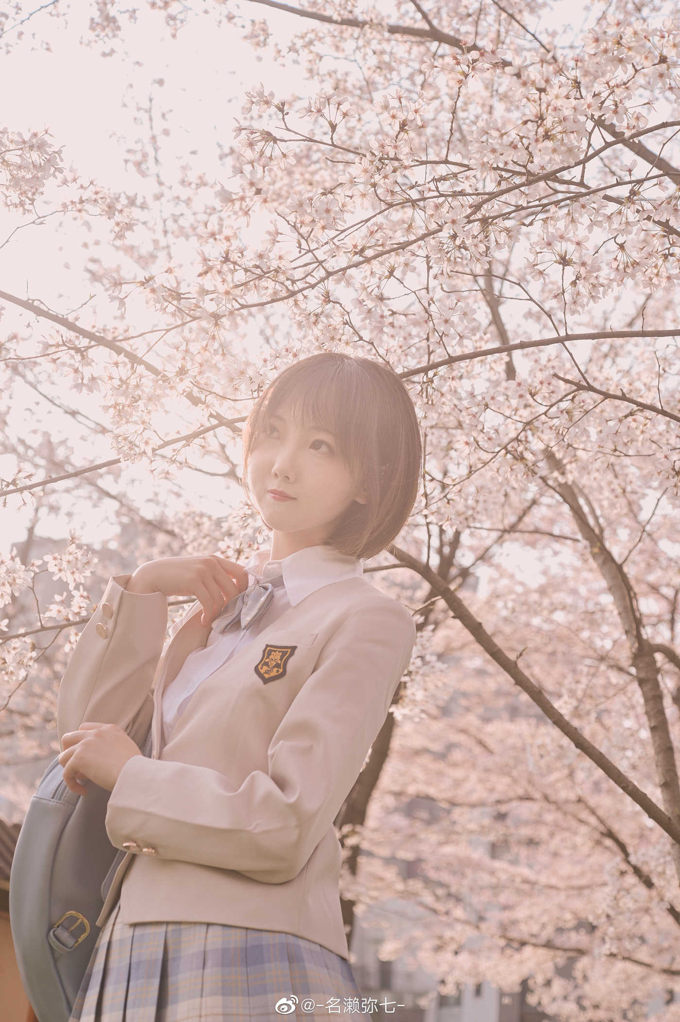 图片[10]-名濑弥七 – 樱花[14P] – 速更版-美库