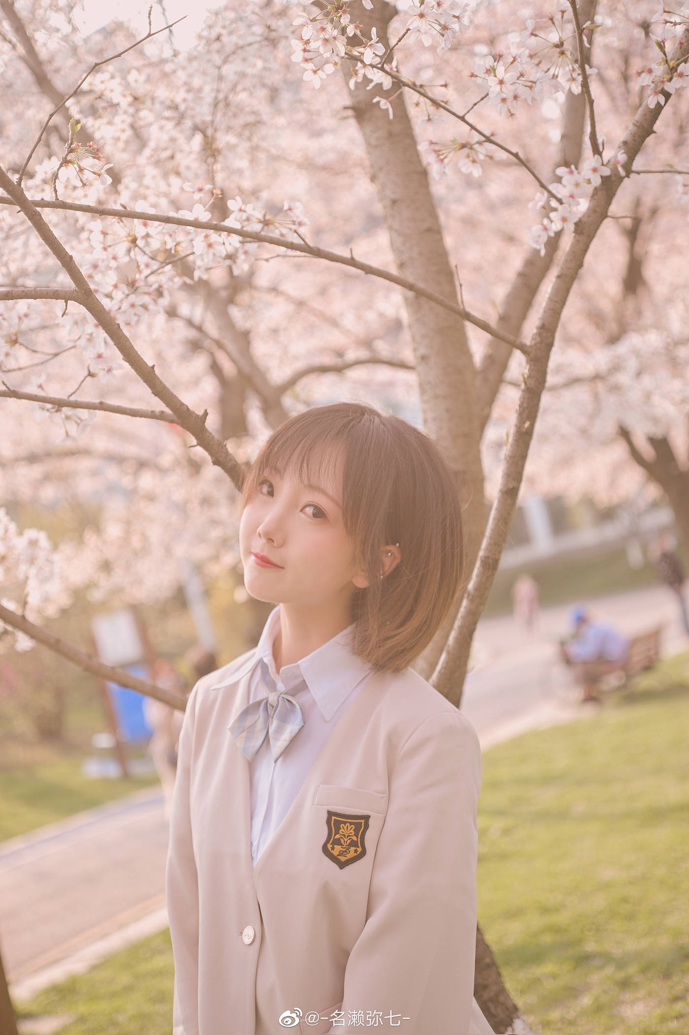 图片[11]-名濑弥七 – 樱花[14P] – 速更版-美库