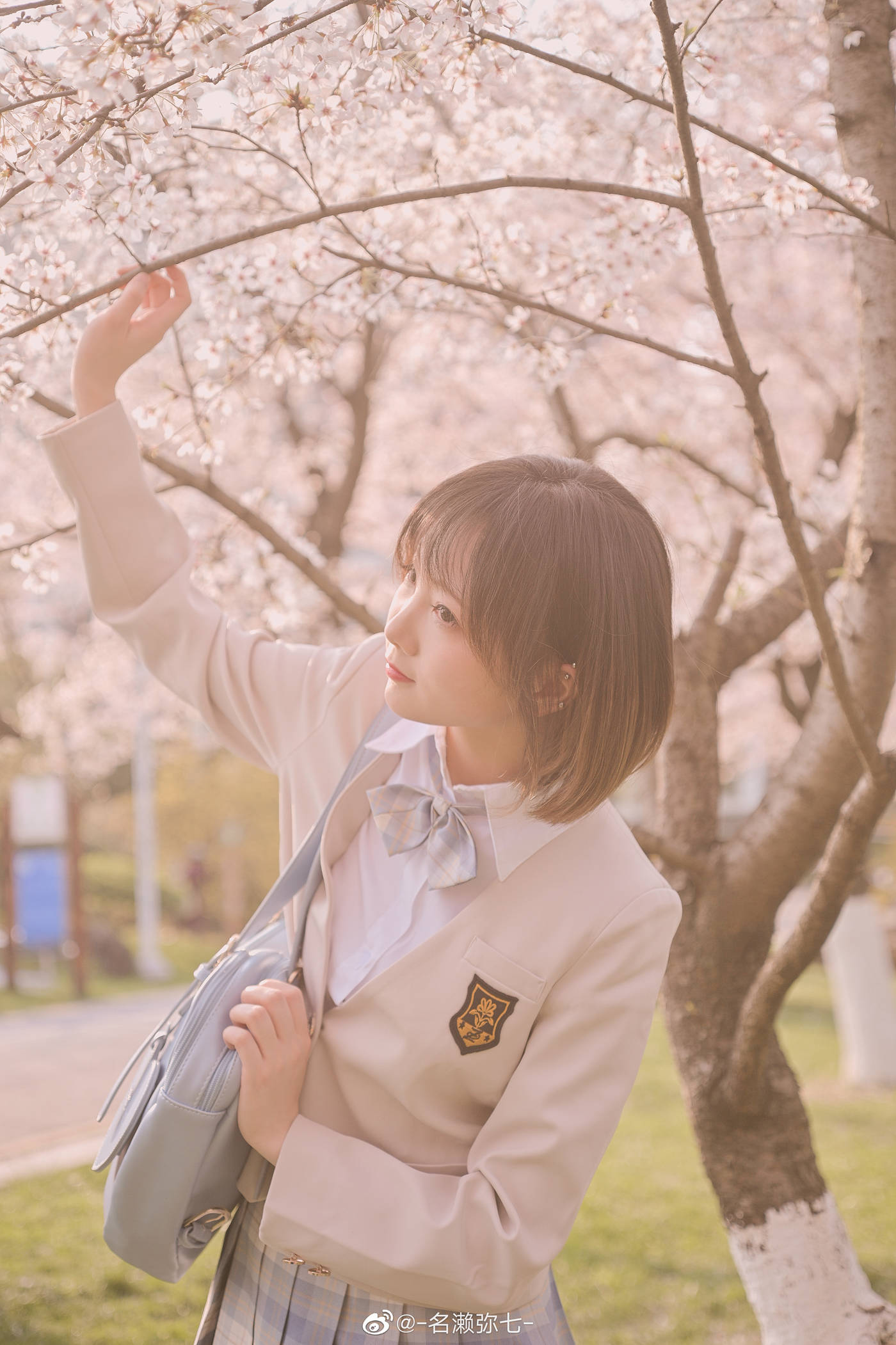 图片[14]-名濑弥七 – 樱花[14P] – 速更版-美库