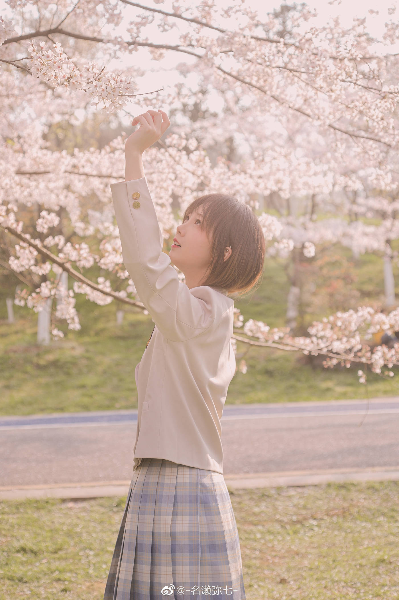 图片[15]-名濑弥七 – 樱花[14P] – 速更版-美库