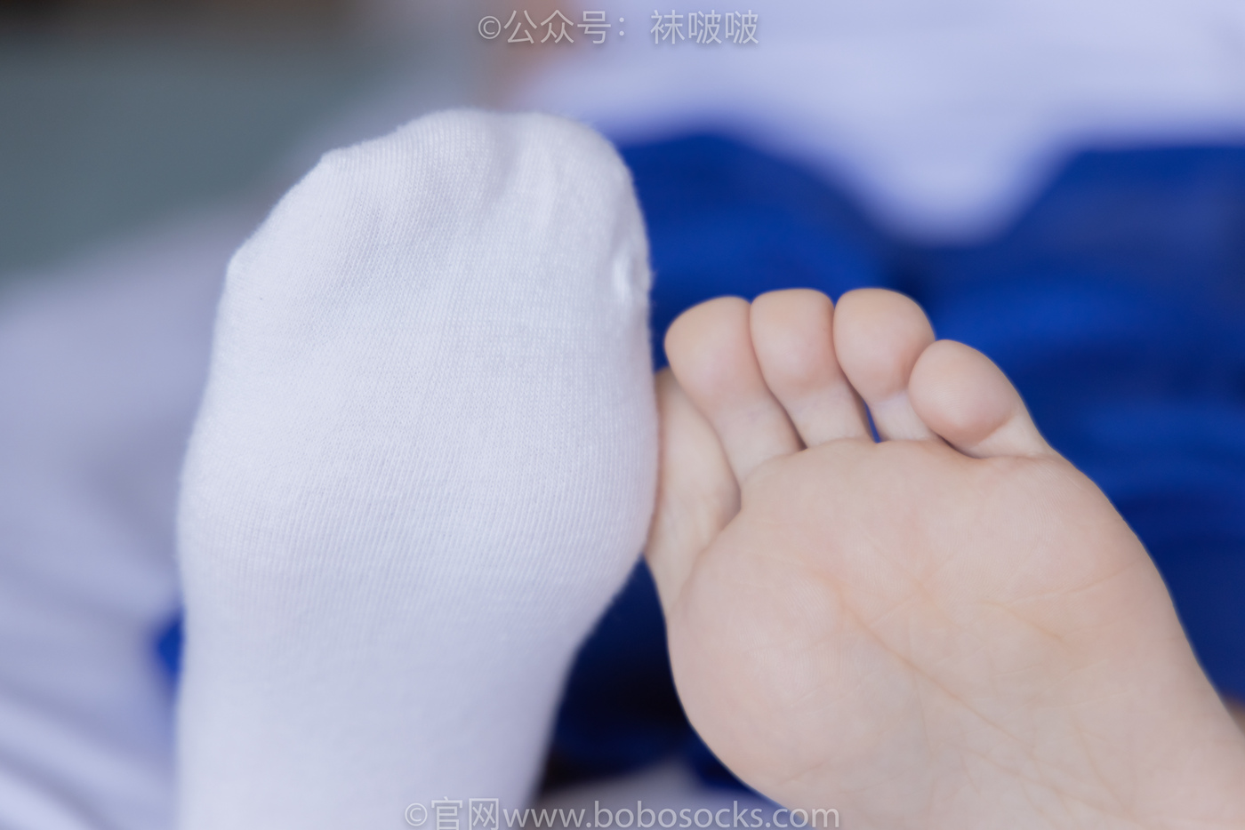 图片[94]-[BoBoSocks袜啵啵]NO.039 小奶熊-校服、vans帆布鞋、短白棉袜、裸足[154P] – 速更版-美库