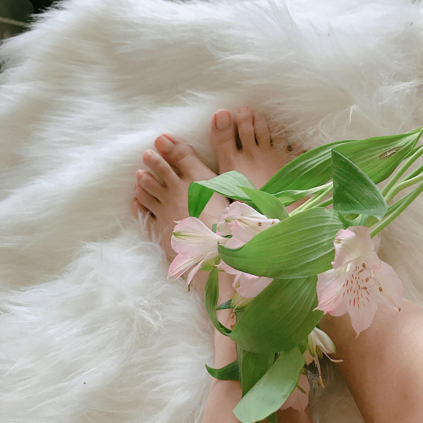 图片[123]-安乔乔儿(Nia乔乔) 学姐来了[124P] – 速更版-美库