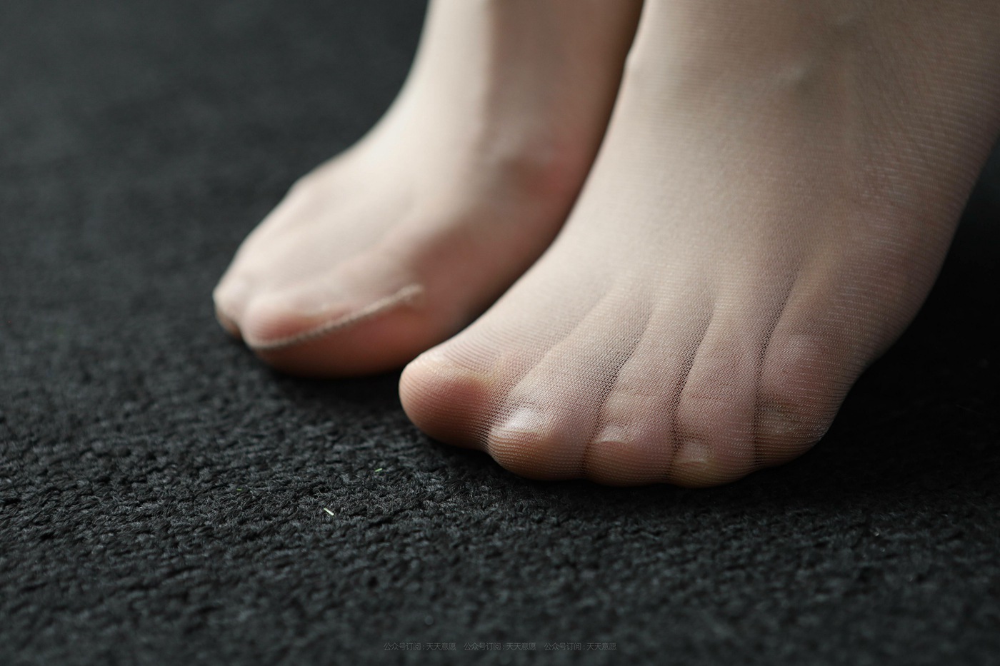 图片[45]-[IESS异思趣向]2021.11.16 丝享家976：小婕《旗袍佳人》[90P] – 速更版-美库