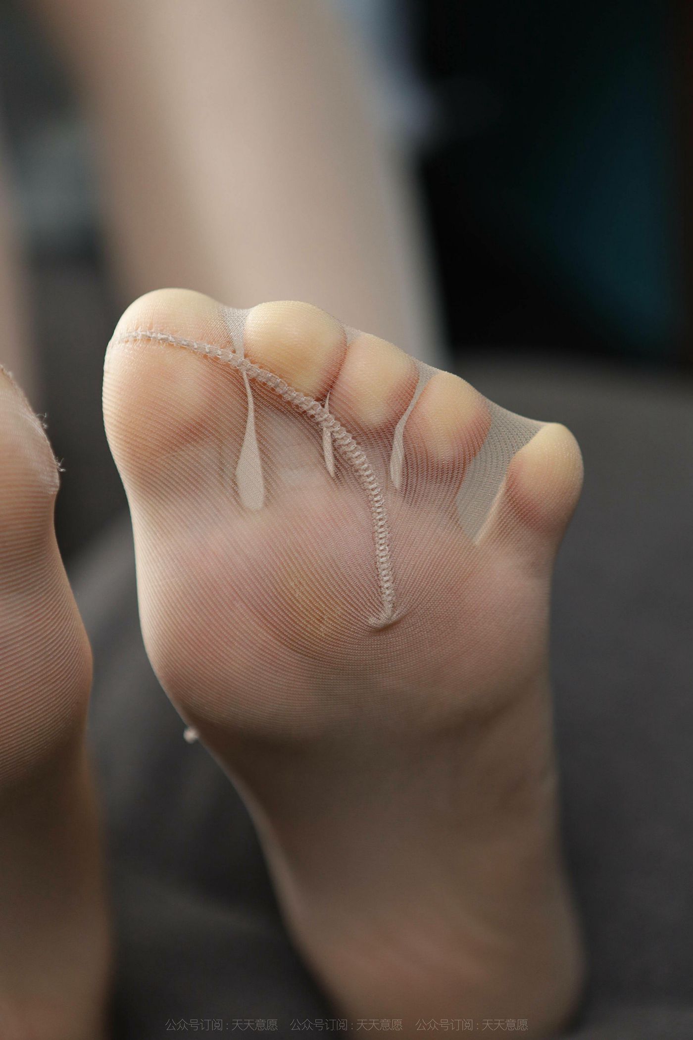 图片[73]-[IESS异思趣向]2021.11.16 丝享家976：小婕《旗袍佳人》[90P] – 速更版-美库