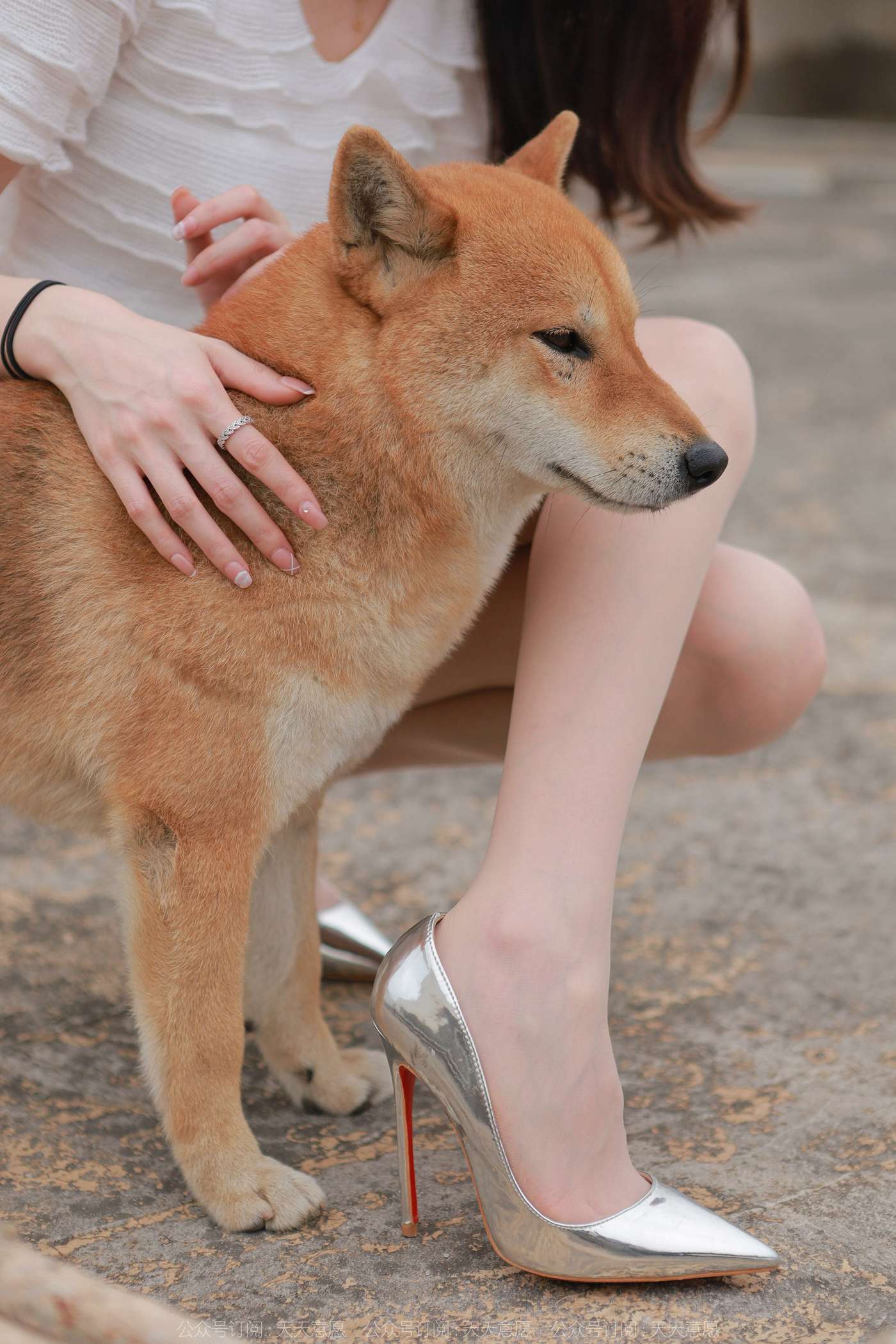 图片[24]-[IESS异思趣向]2021.11.25 丝享家979：佳爷《12月女神佳爷-特辑》[93P] – 速更版-美库