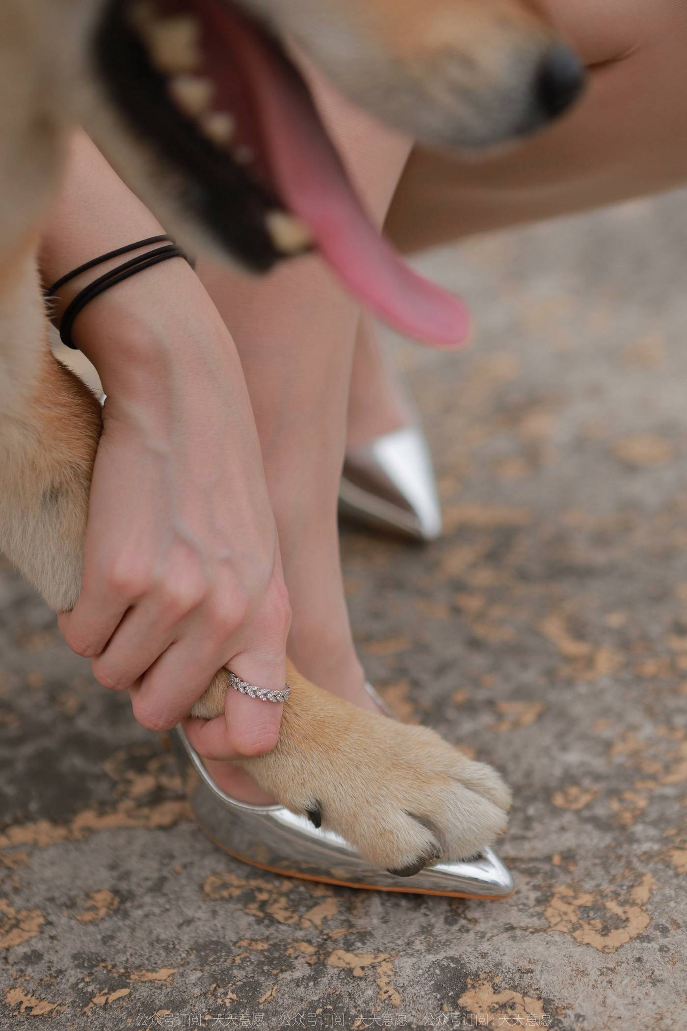 图片[28]-[IESS异思趣向]2021.11.25 丝享家979：佳爷《12月女神佳爷-特辑》[93P] – 速更版-美库