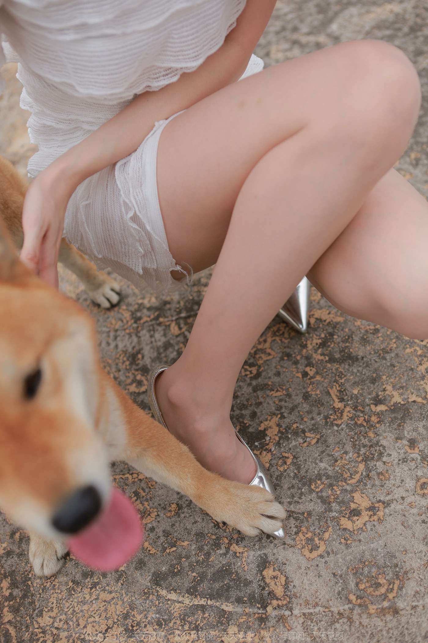 图片[29]-[IESS异思趣向]2021.11.25 丝享家979：佳爷《12月女神佳爷-特辑》[93P] – 速更版-美库