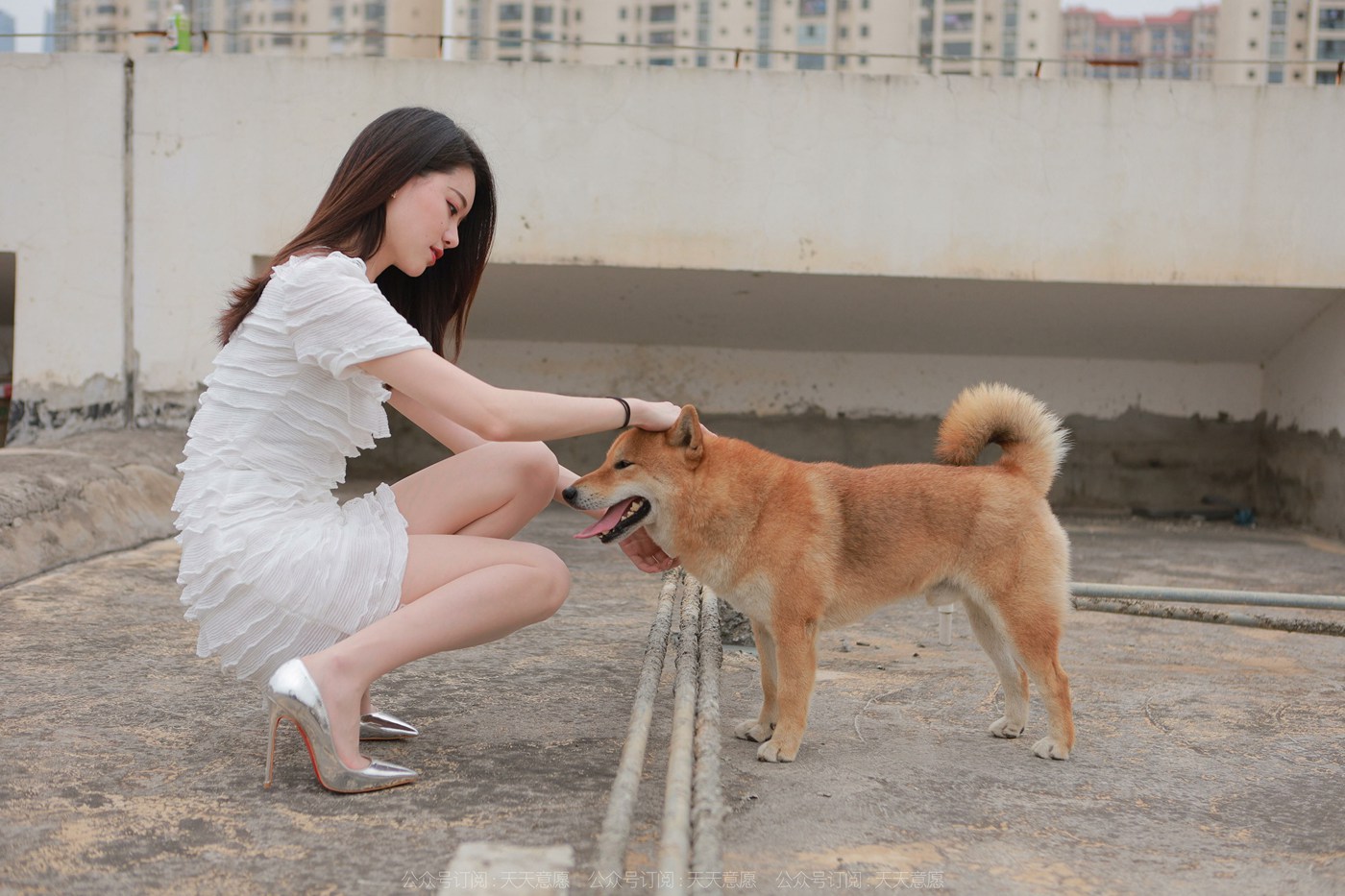 图片[37]-[IESS异思趣向]2021.11.25 丝享家979：佳爷《12月女神佳爷-特辑》[93P] – 速更版-美库