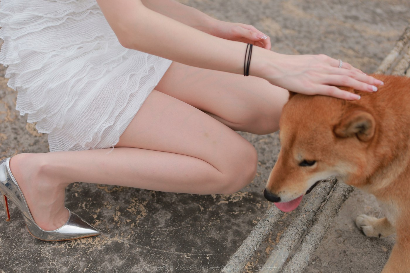 图片[39]-[IESS异思趣向]2021.11.25 丝享家979：佳爷《12月女神佳爷-特辑》[93P] – 速更版-美库