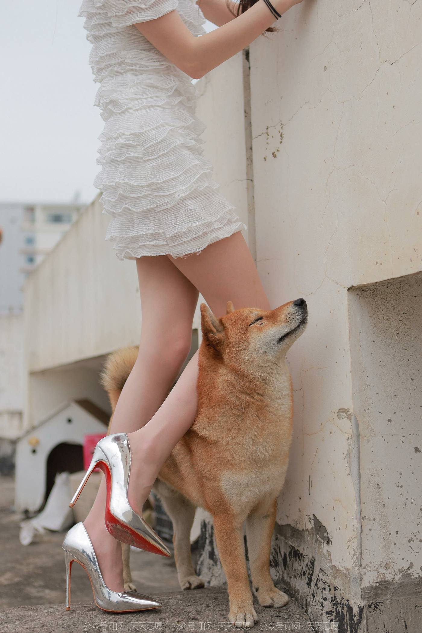 图片[76]-[IESS异思趣向]2021.11.25 丝享家979：佳爷《12月女神佳爷-特辑》[93P] – 速更版-美库